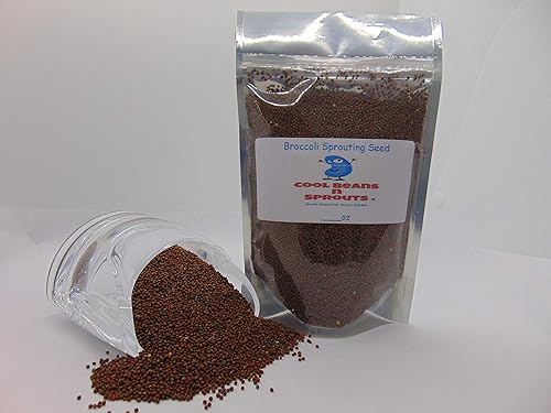 Semillas de brócoli de 8 onzas para germinar microgreens marca "COOL BEANS n SPROUTS". Un superalimento lleno de antioxidantes y nutrientes que