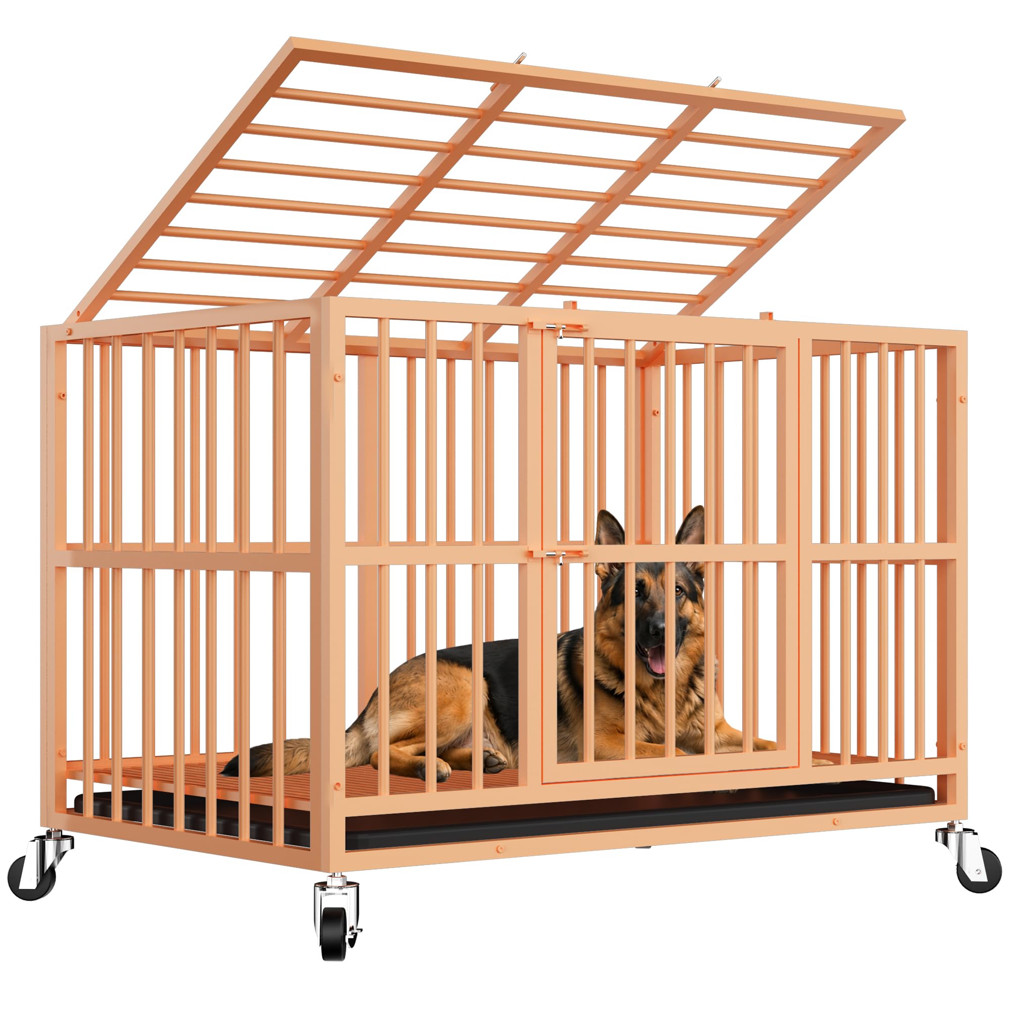 Docagt 48 Inch Dog Crate Orange