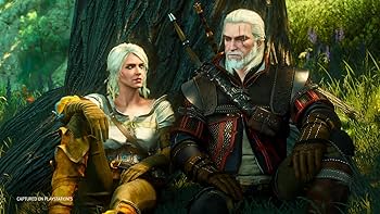 Amazon.com: CD Projekt The Witcher 3: Wild Hunt Complete