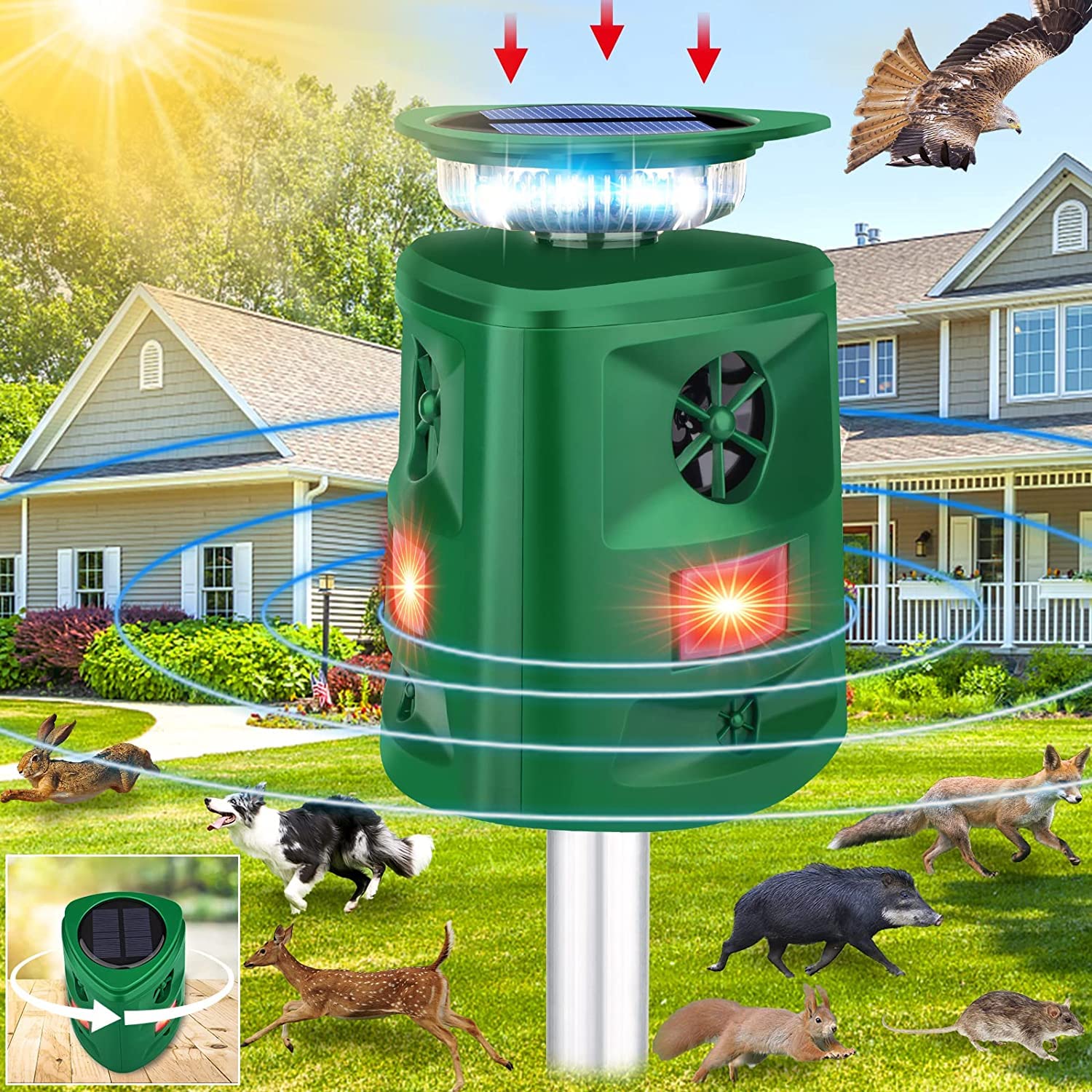 Repellente a ultrasuoni a 360° per gatti e volpi, 5 modalità, repellente per piccioni solare e a batteria, impermeabile, deterrente per uccelli, scoiattoli, gatti, spaventapasseri per giardino, con