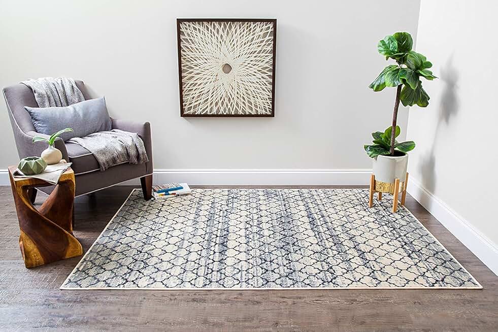 black and white rugs 8x10