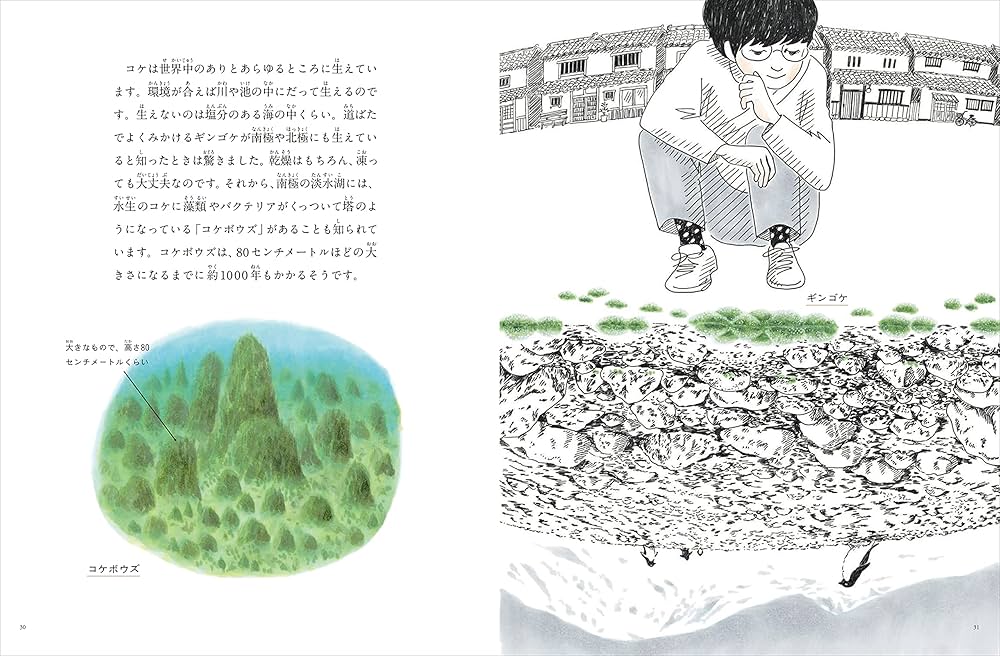 たくさんのふしぎ　 かがくのとも　コケのすきまぐらし　こけをみつけたよ　 福音館 コケのすきまぐらし｜福音館書店