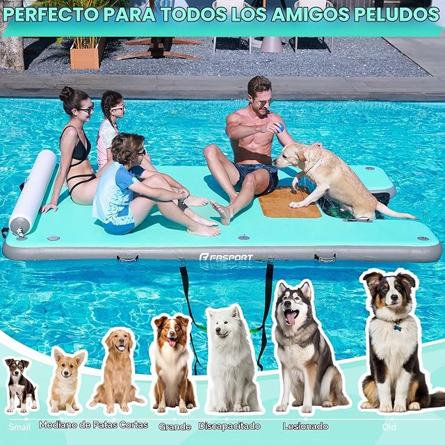 Foto 4 de 8 de FBSPORT Plataforma Flotante Hinchable con Rampa para Perros
