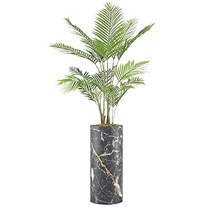 SIGNWIN Areca Palm Tree with Black, White &...
