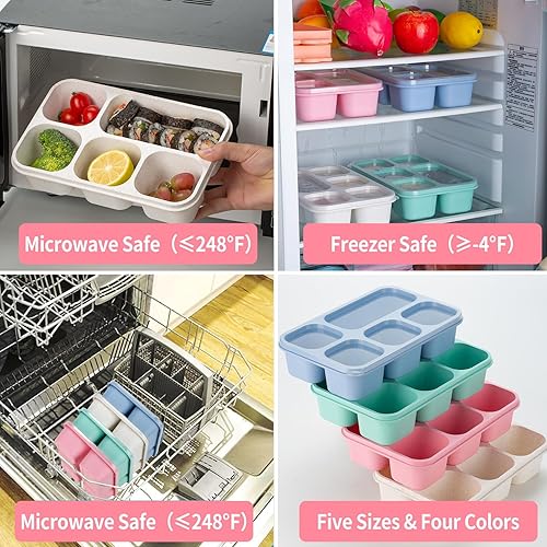 Miniatura 3 de TurtingAs Paquete de 4 cajas Bento para adultos, recipientes para almuerzo con 5 compartimentos, recipientes de paja de trigo para adultos,