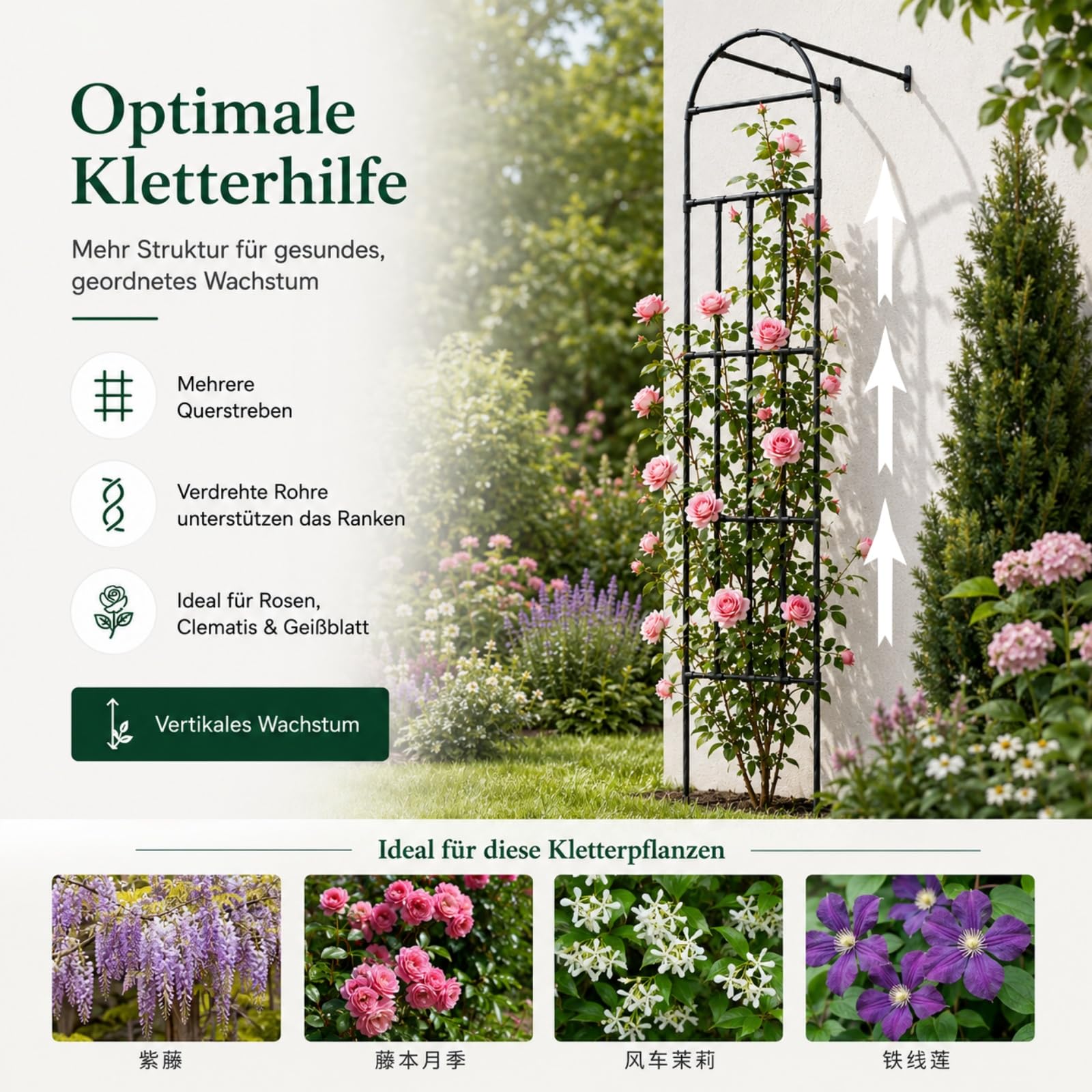 Rosenbogen halbrund 120 X 50 X 260 cm Halbrundes Spalier Stahl stabiles Gartenspalier Metall Gartenbogen Spalier für Kletterpflanzen