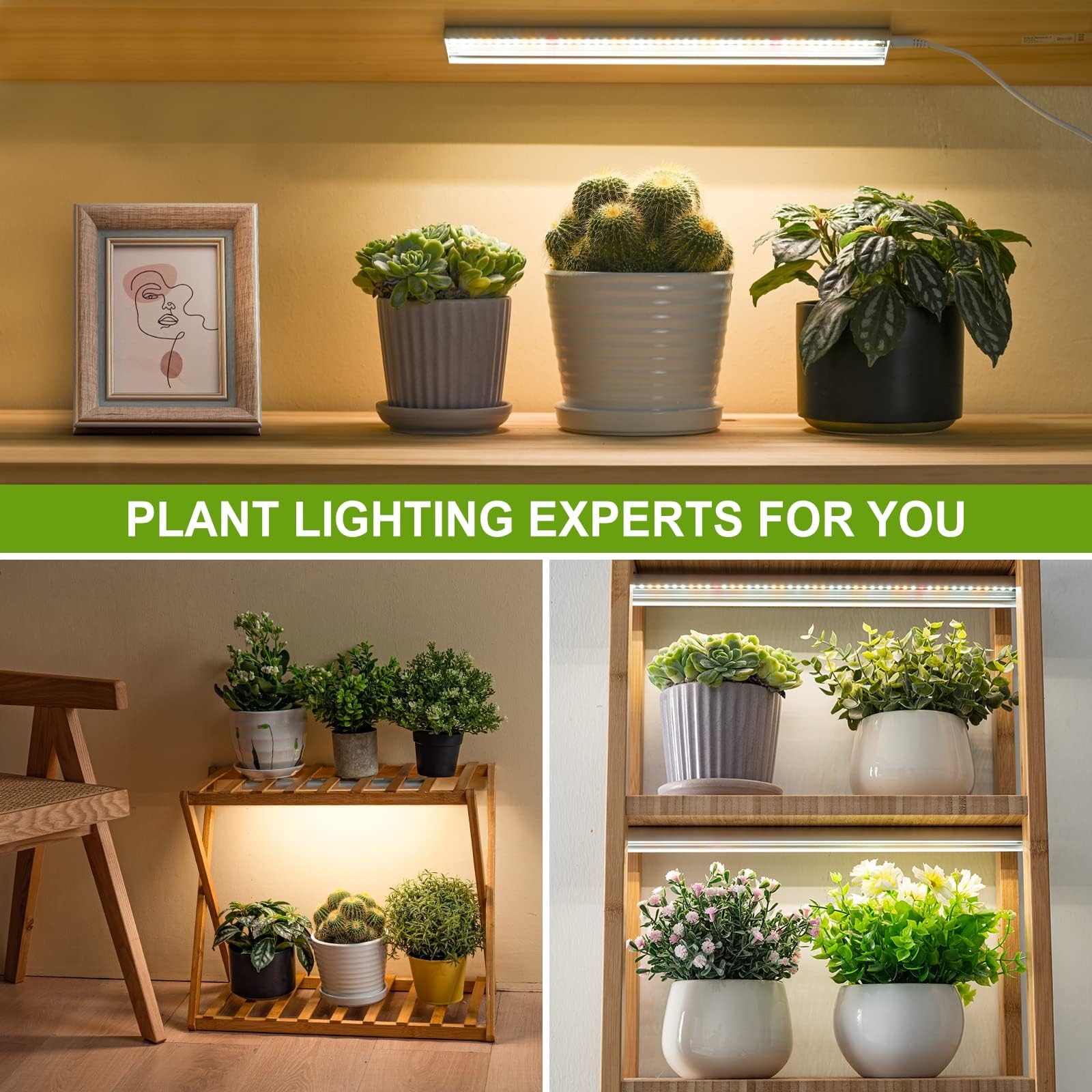 FOXGARDEN Pflanzenlampe Led, Vollspektrum 192 LED helle Pflanzenlampe mit automatischer Ein-/Ausschaltfunktion 4/8/12 Stunden Timer, 10 dimmbare Helligkeitsstufen, 2 Packungen