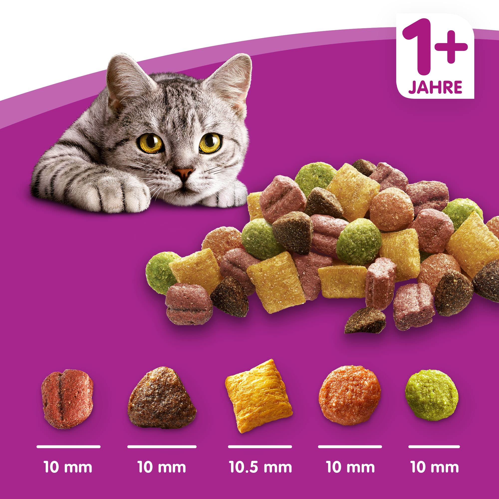 Whiskas Adult 1+ sucha karma jagnięca, 5 x 800 g (5 paczek) - sucha karma dla dorosłych kotów - dostępne różne opakowania produktu