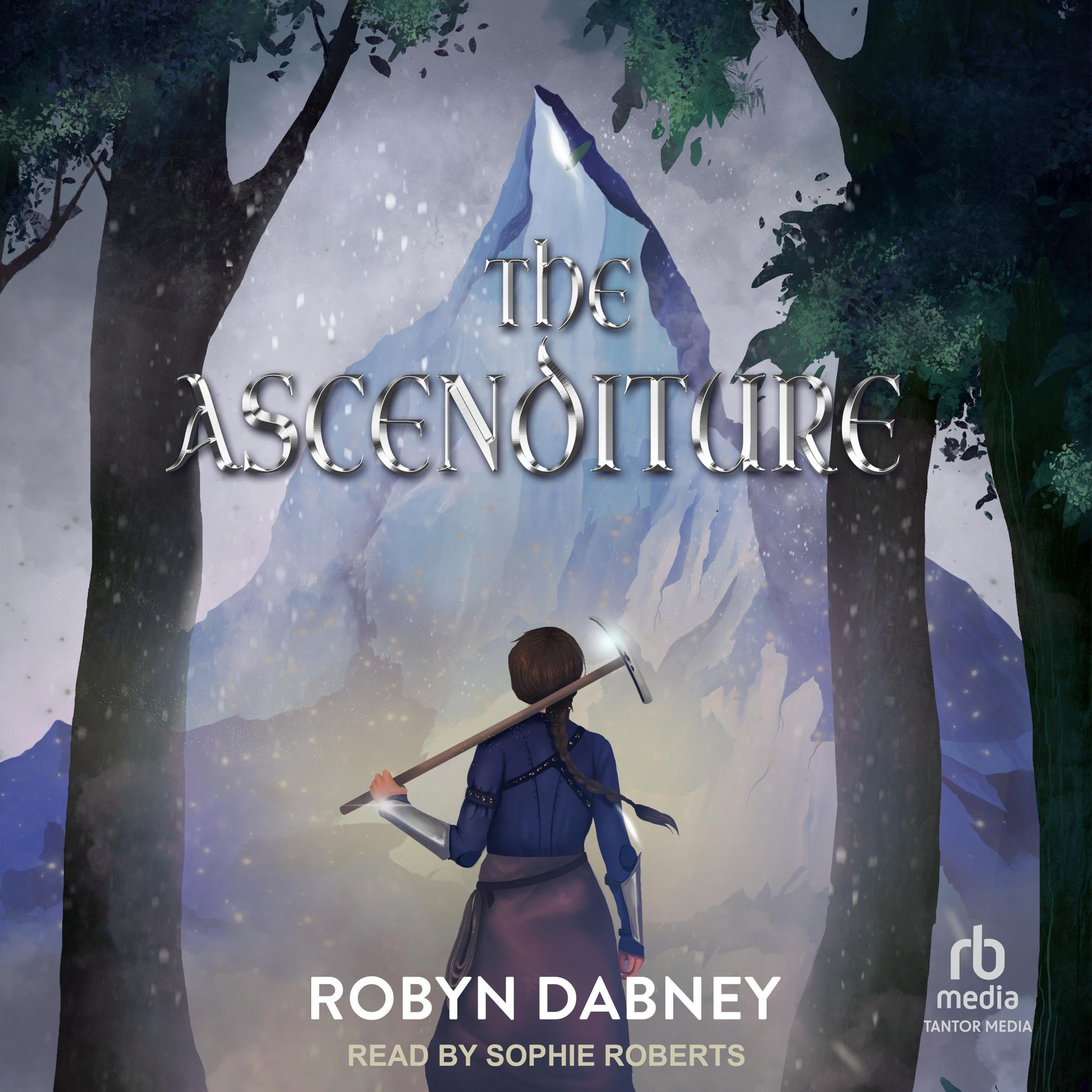 Cover art for The Ascenditure