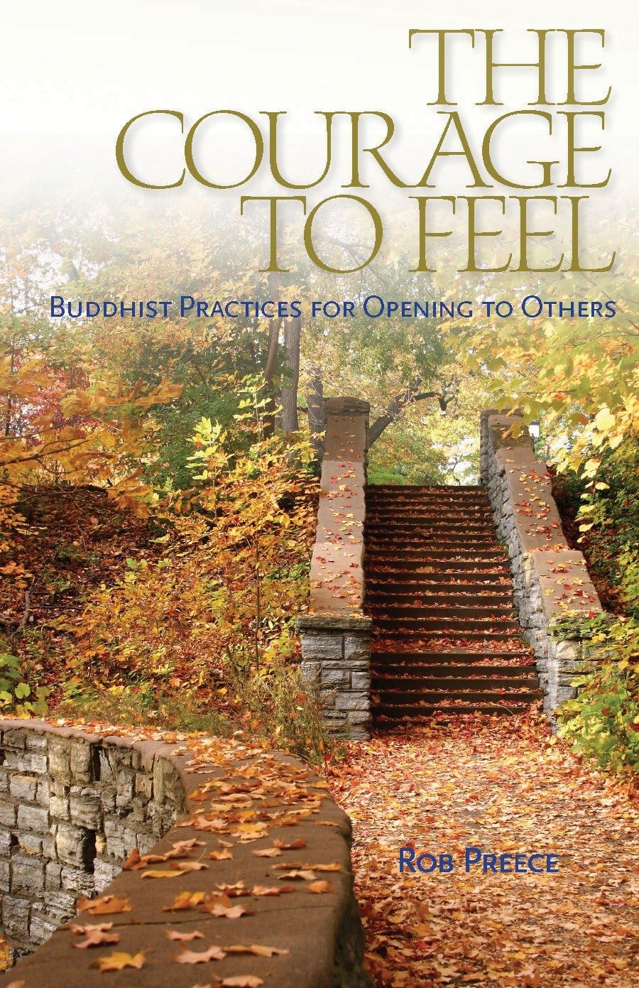 Courage to Feel: Buddhist Practices for Opening to Others By Rob Preece