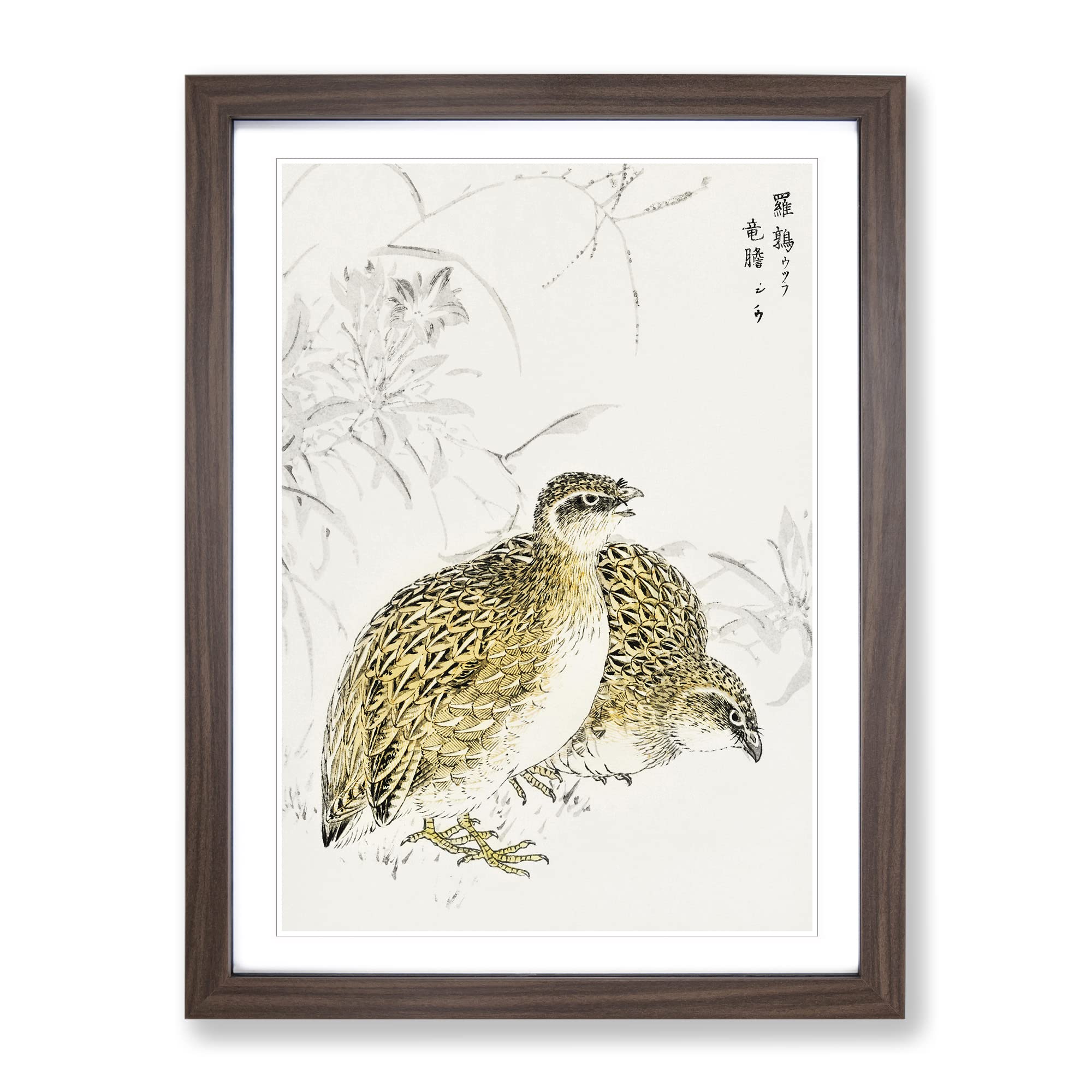 Japanese Quail Birds By Numata Kashu Asian Japanese Framed Wall Art Print