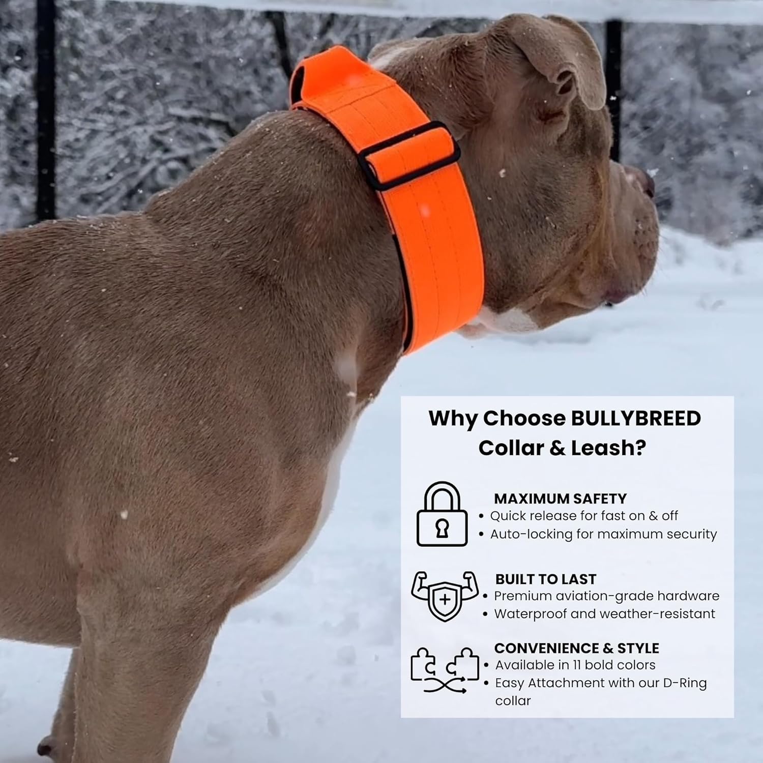 Heavy Duty Dog Collar, Tactical Dog Collar, Dog Collar for Large Dogs, Waterproof Dog Collar, Dog Training Collar, Quick-Release Metal Buckle, Adjustable Sizes – BULLYBREED (Orange, Large)