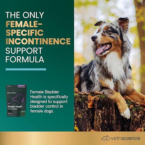 Miniatura 3 de VetriScience Suplemento Vetri para la vejiga para perros  Masticables de apoyo de la vejiga con antioxidantes para perros esterilizados y mayores,