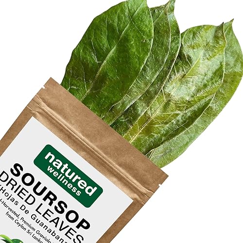 Miniatura 3 de Hojas secas de guanábana de guanábana premium, más de 200 hojas de guanábana, hoja de graviola silvestre, hojas sueltas de té de hierbas 100%