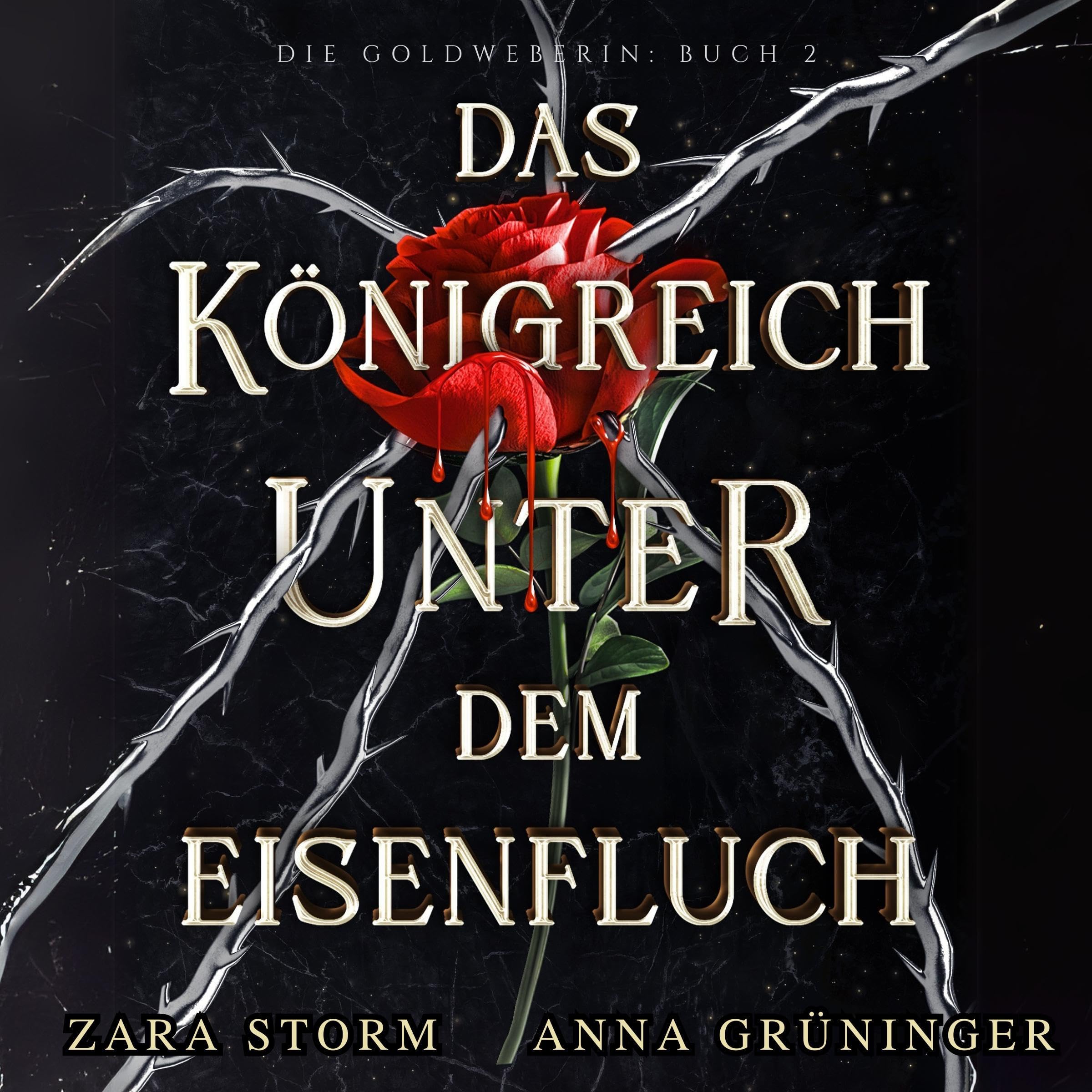 Cover art for Das Königreich unter dem Eisenfluch