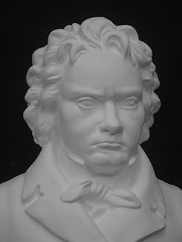 Amazon.co.jp: 石膏像 K－182 ベートーベン胸像（大） H