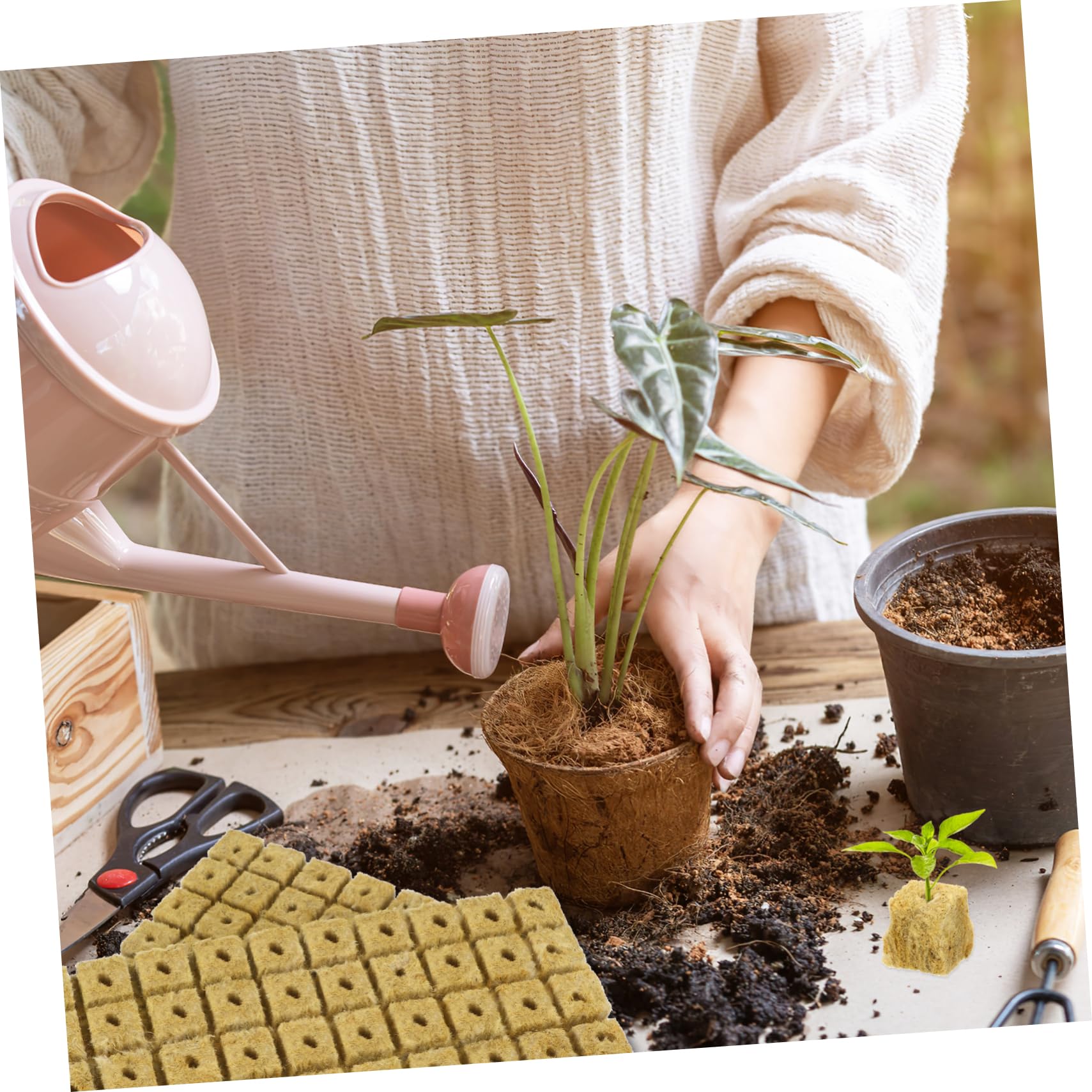 Sosoport 3 Juegos Bloques De Tierra para Propagación De Plantas Cubos para Plantas Cubos De Tierra os para Plantación Hidropónica Tapones De Cultivo os para Iniciar 100 Uds * 3