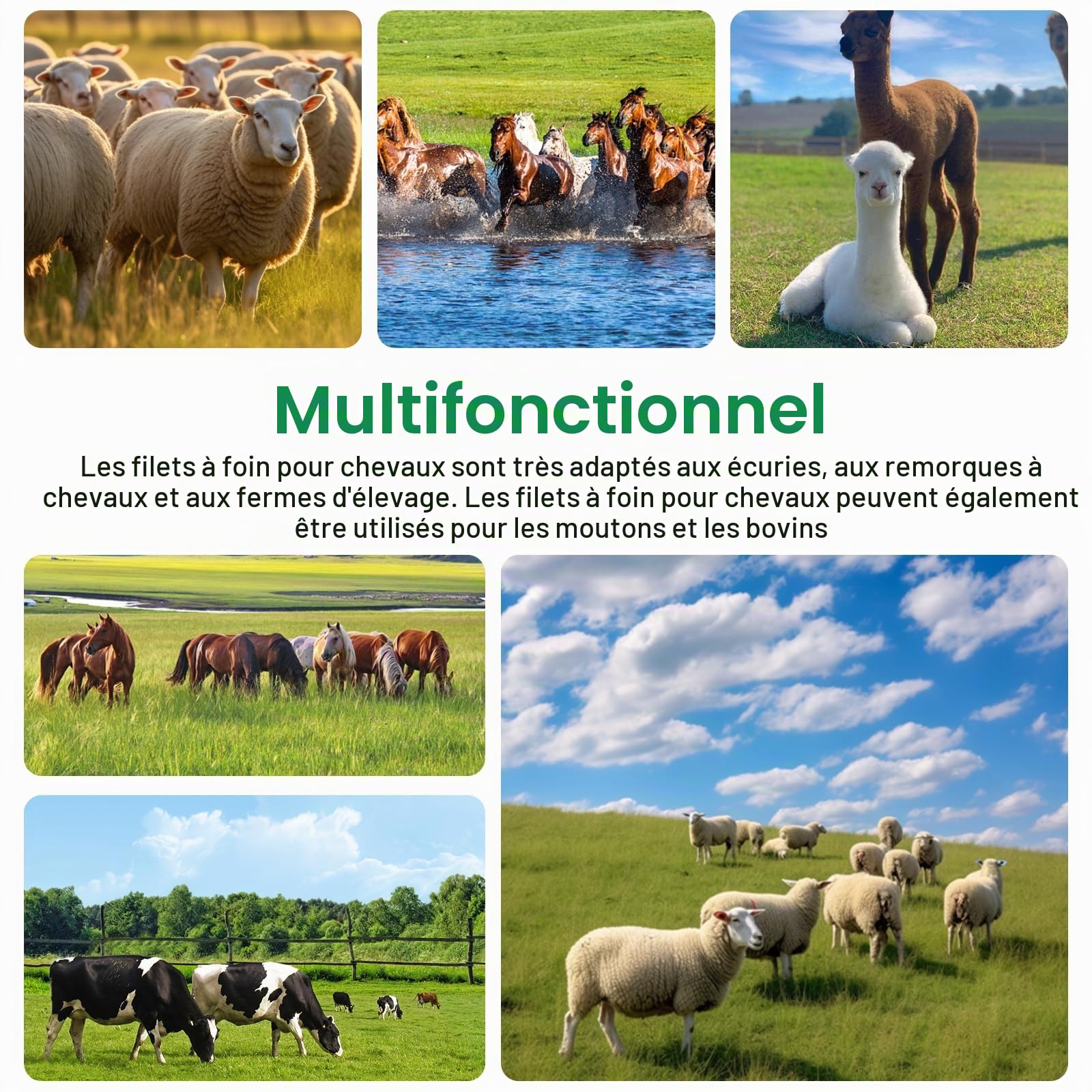 Vegena 2pcs Filet À Foin Pour Chevaux, Filet À Foin Sac À Foin Pour Chevaux Filets À Foin Filet D'alimentation Filet De Nourriture Pour Foin Pour Une Alimentation Adaptée À L'espèce 90 x 60cm