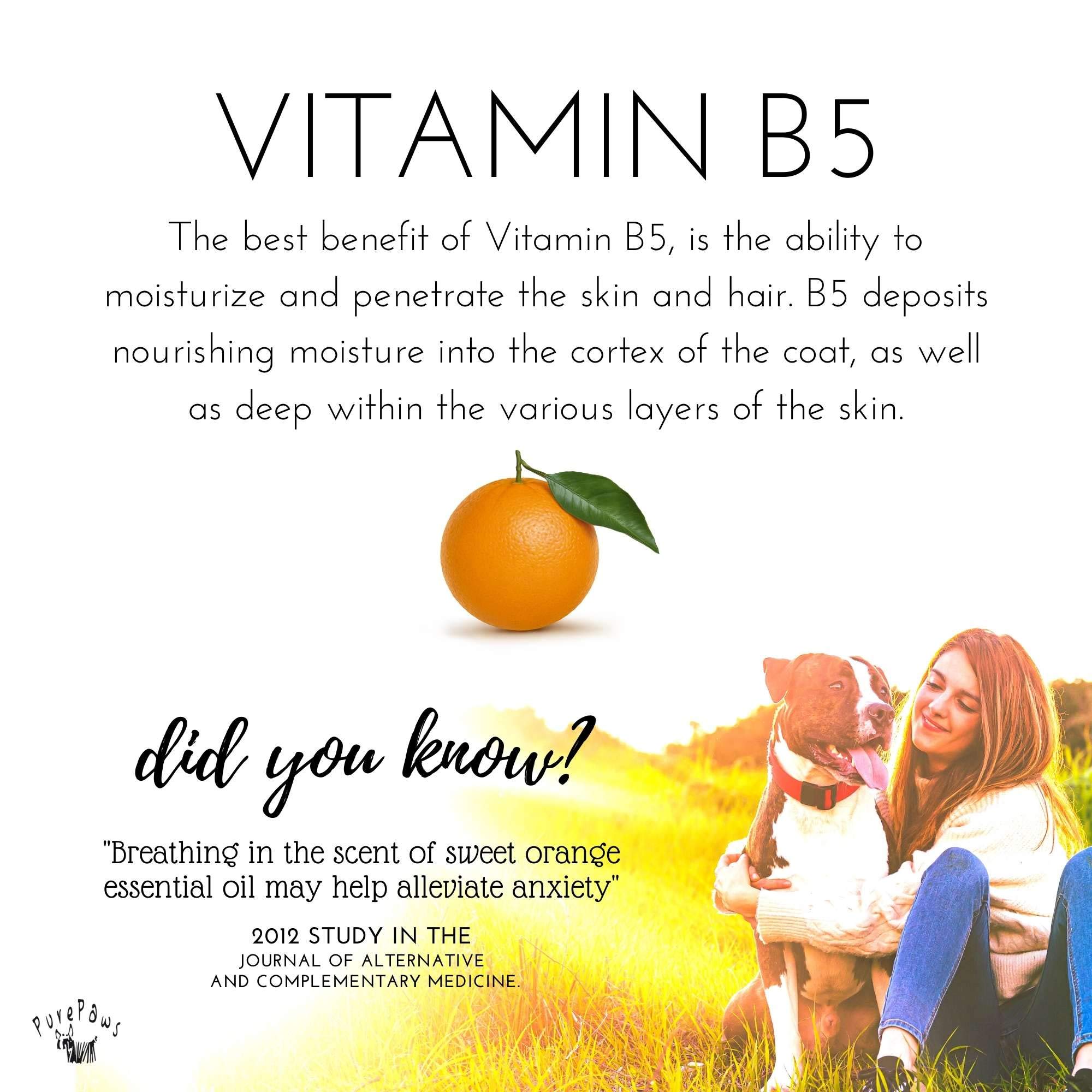 Pure Paws Orange Shampoo & Conditioner | Vitamin B5 & Aloe Vera | 32oz