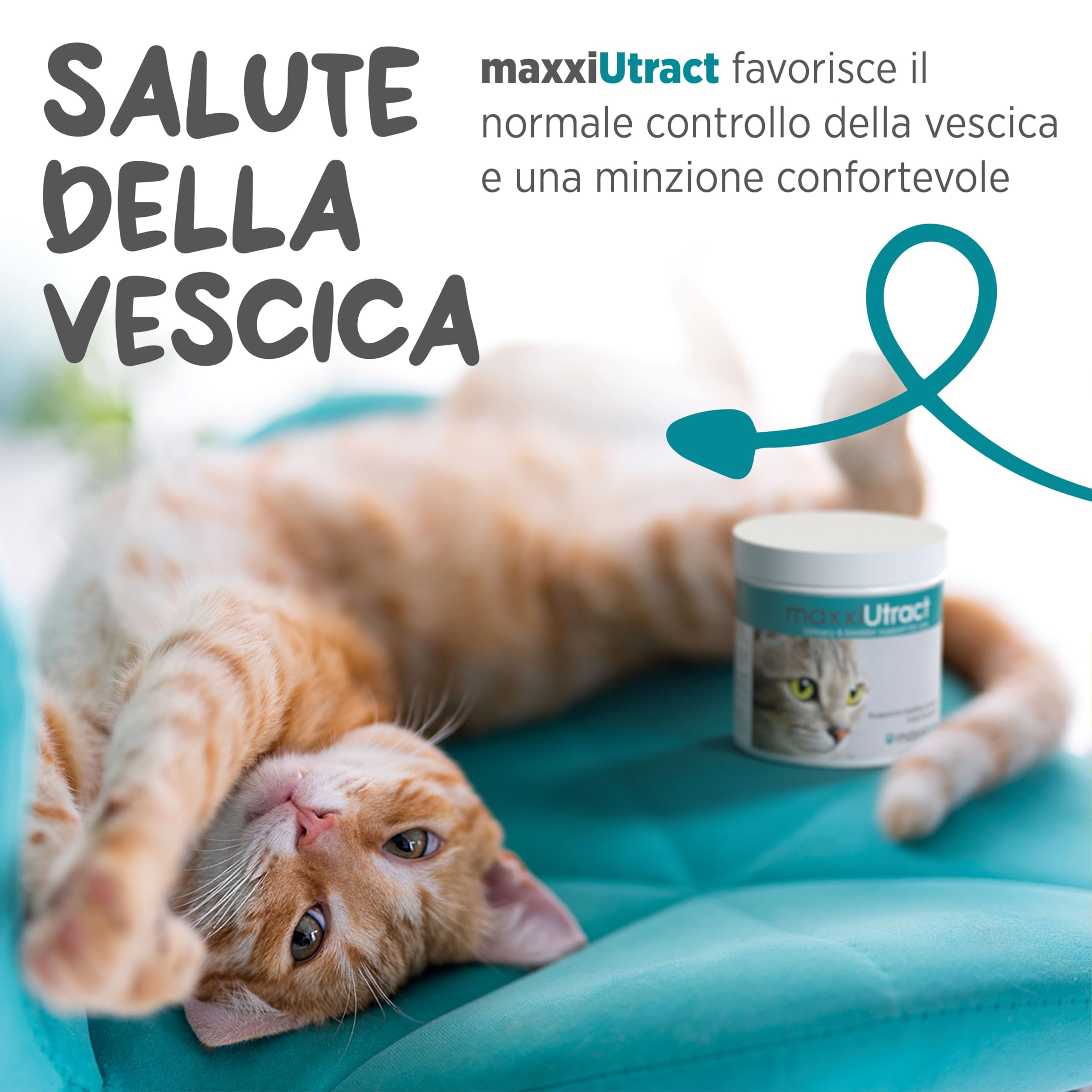 maxxipaws maxxiUtract Benessere Urinario e della Vescica - Integratore in Polvere per Gatti, 90g