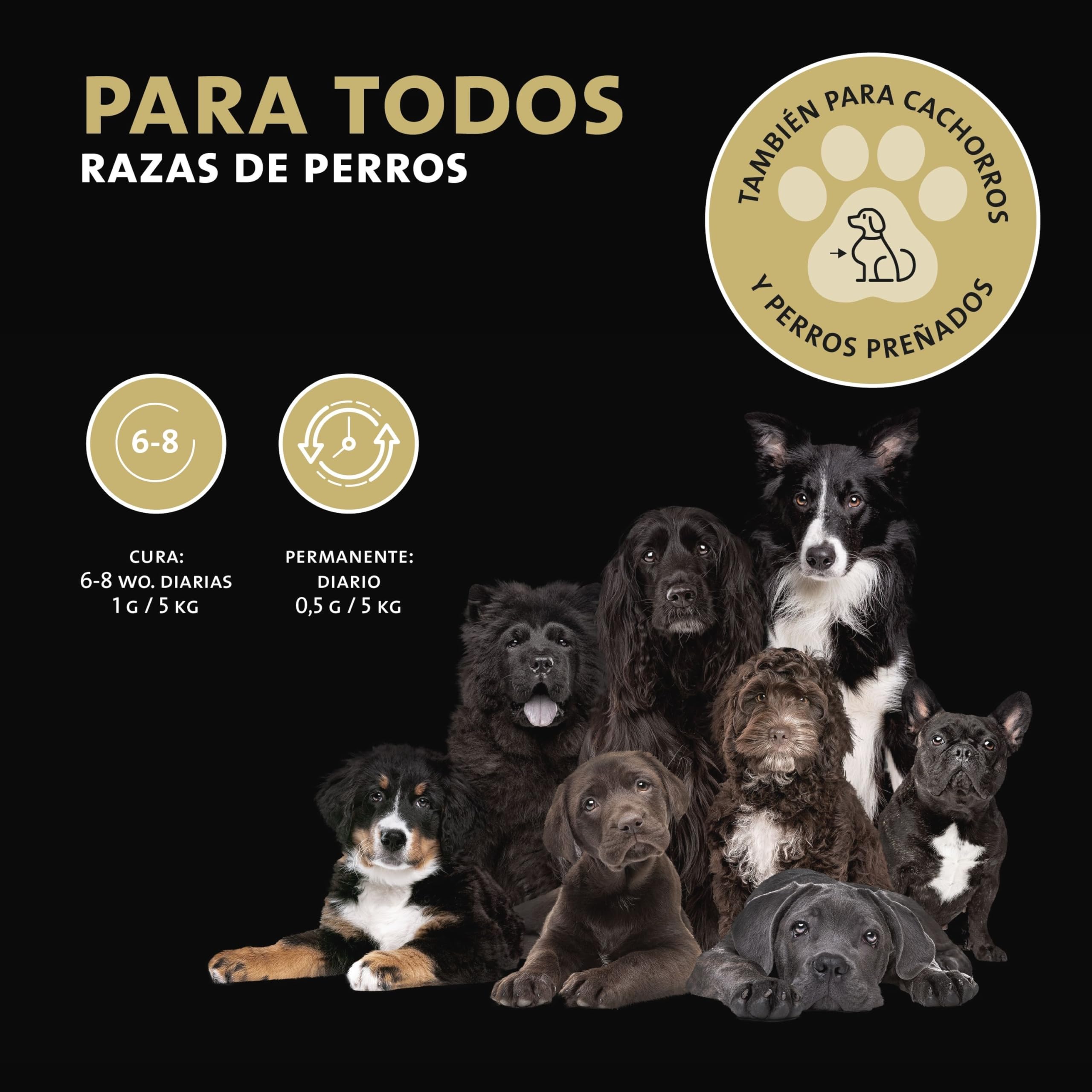 Peticare Perros Prebiótico y Probiótico - Fortalecer Sistema Inmunológico, Restauración Tripas, Construir Flora Intestinal, Alivia Susceptibilidad Alergias y Picores - petDog Health 2501