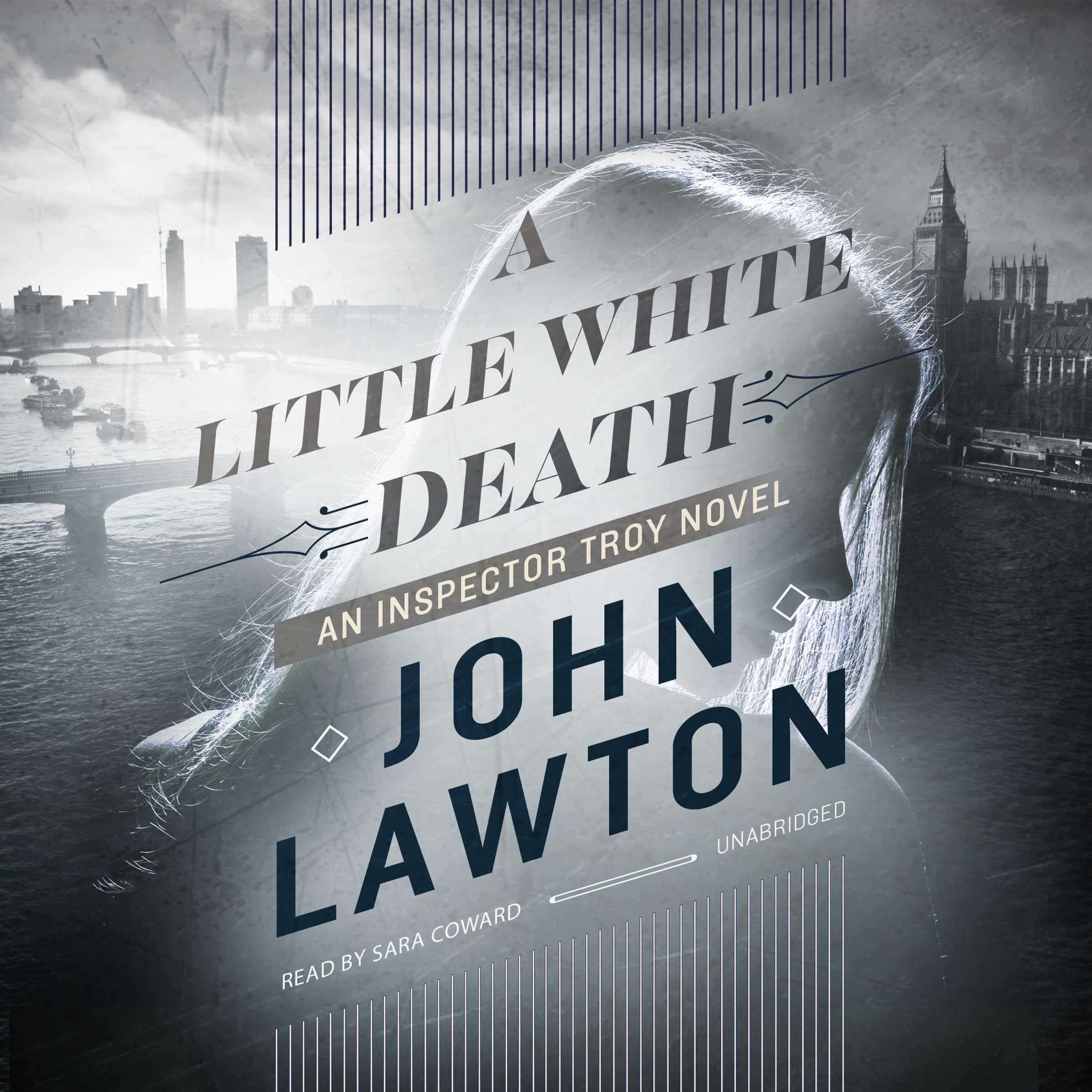 Cover art for A Little White Death