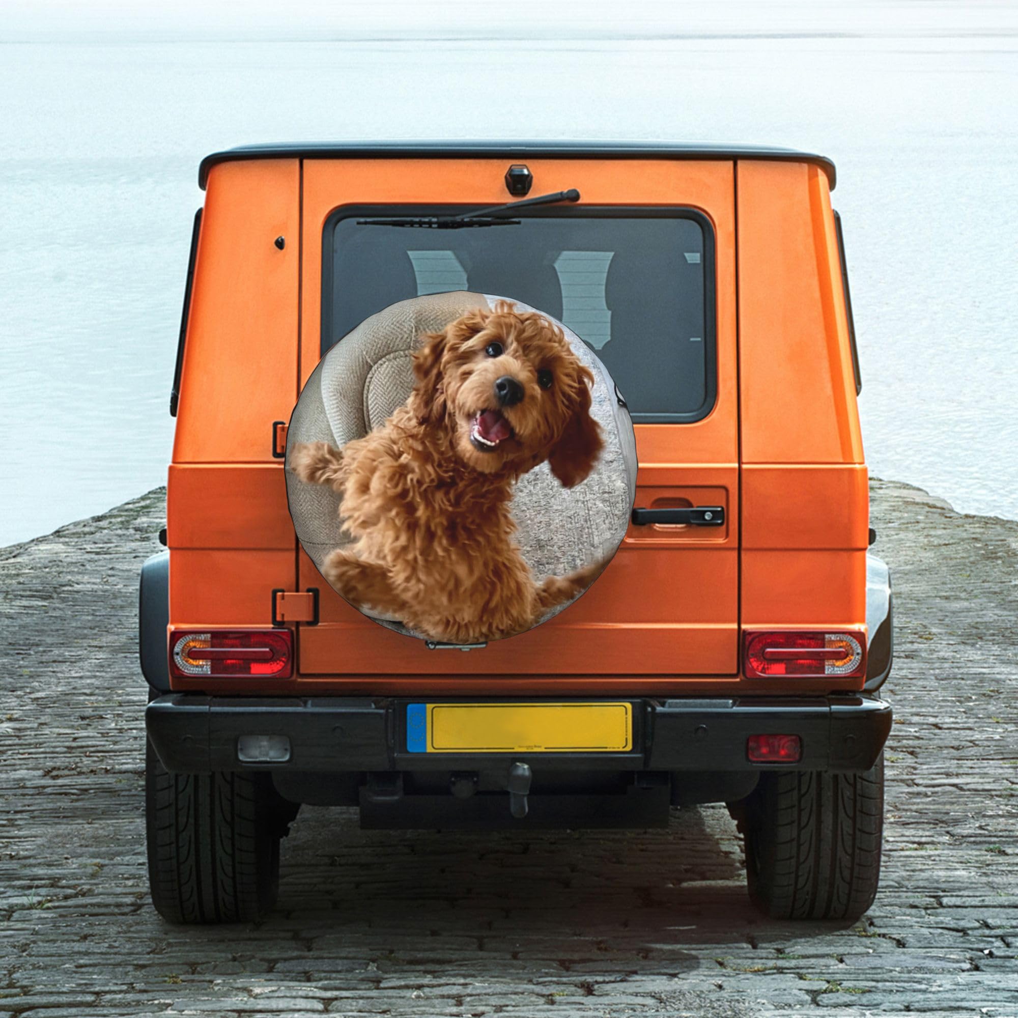 Copriruota di Scorta Personalizzato per Auto, Copertura Ruota di Scorta con Foto Testo Logo, Protezione Pneumatico Impermeabile per Jeep SUV Camper Fuoristrada, 15 Pollici