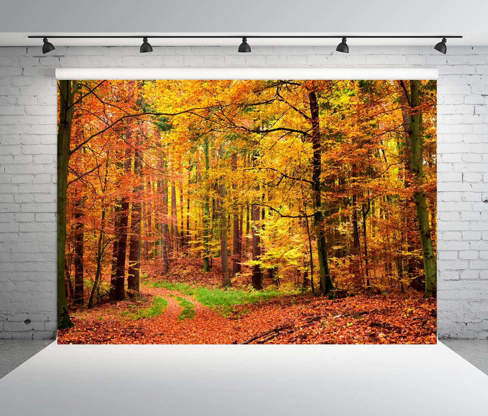 BELECO 4.6x2.5m Telo sfondo bosco autunnale | Splendida foresta foglie cadute paesaggio autunnale sfondo attività esterne decorazione ringraziamento foto