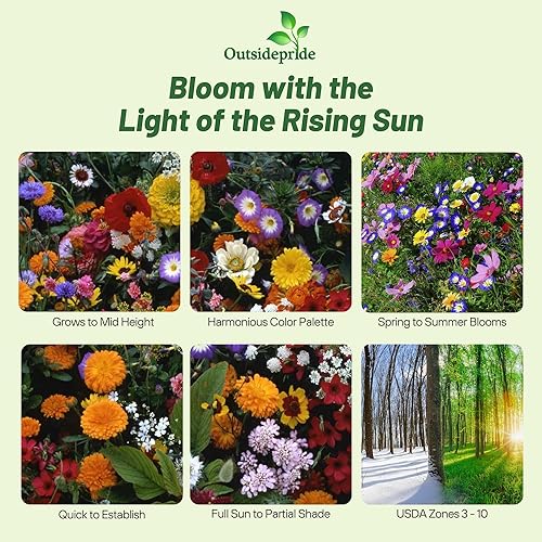 Miniatura 2 de Outsidepride Mezcla de semillas de jardín de flores japonesas - 10000 semillas