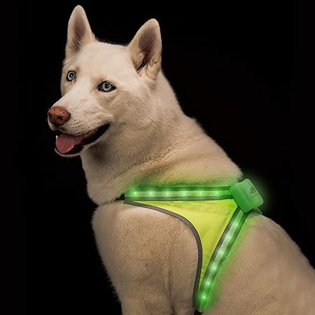 light up dog harness amazon