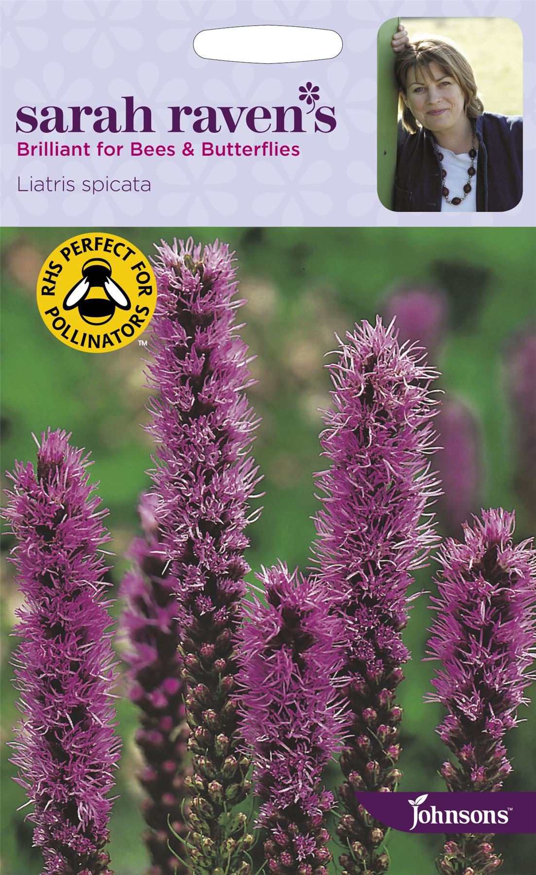 Johnsons - Sarah Raven's Flowers - Liatris spicata - 250