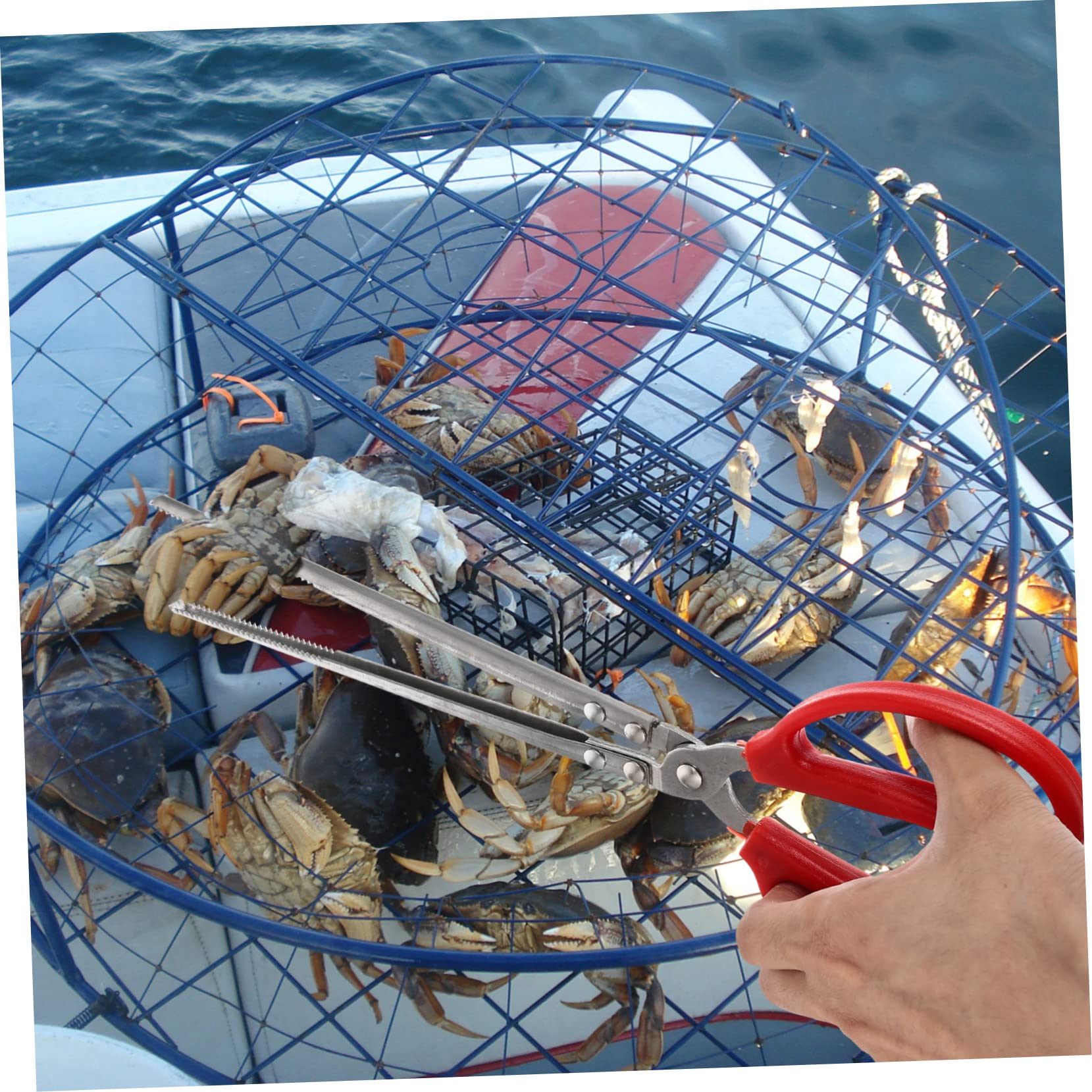 Pinze Da Cucina In Acciaio - Per Pesce E Crostacei