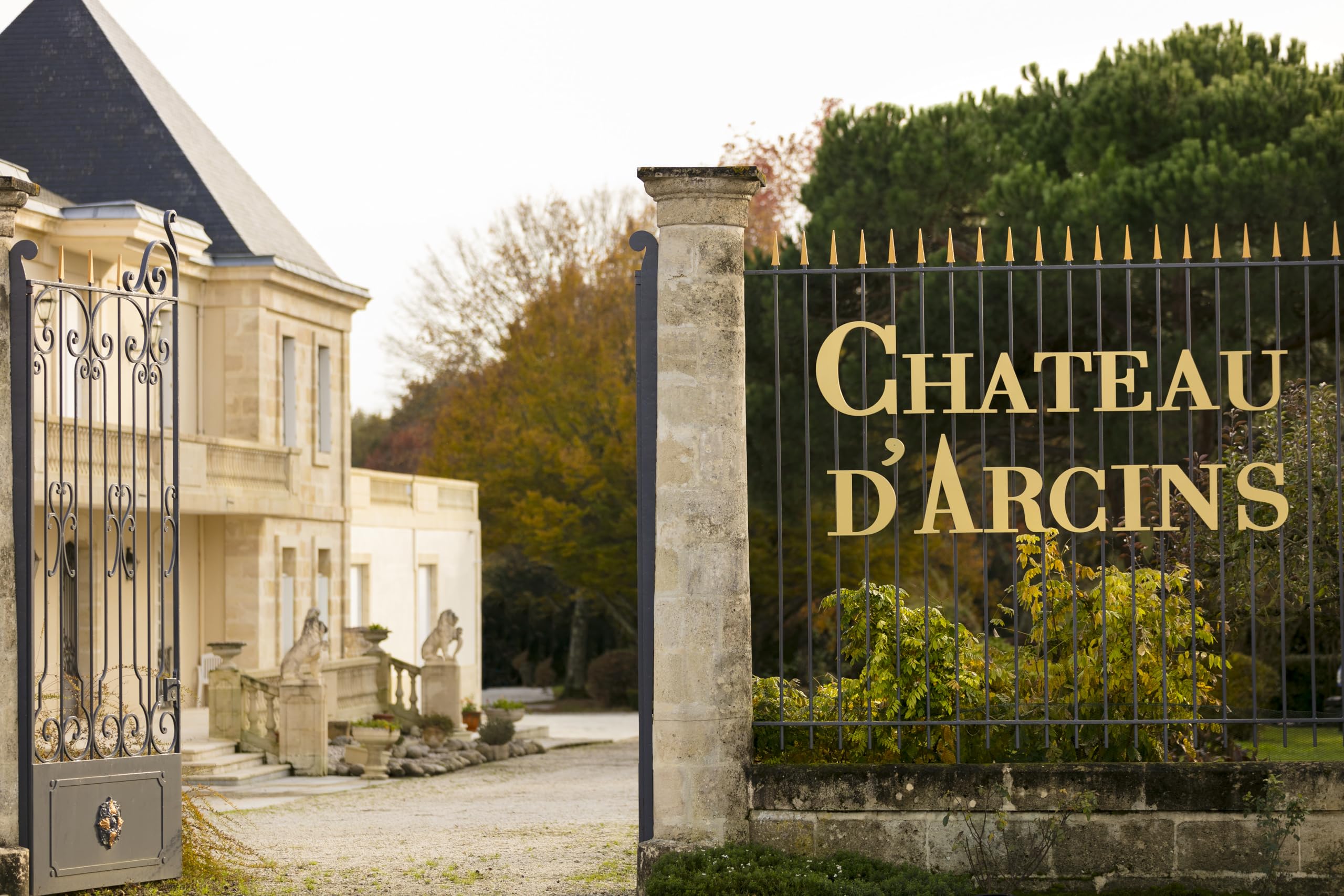 Chevalier d'Arcins - AOP Haut Médoc - Vin Rouge de Bordeaux - Lot de 6 bouteilles x 75 cl