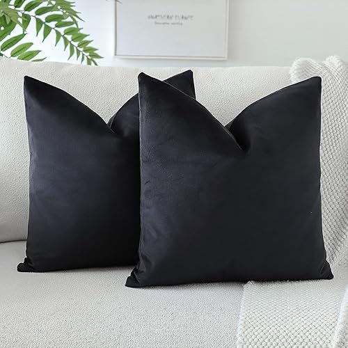 OTOSTAR Juego de 2 fundas de almohada decorativas de terciopelo suave de 24 x 24 pulgadas, fundas de cojín cuadradas sólidas para decoración del