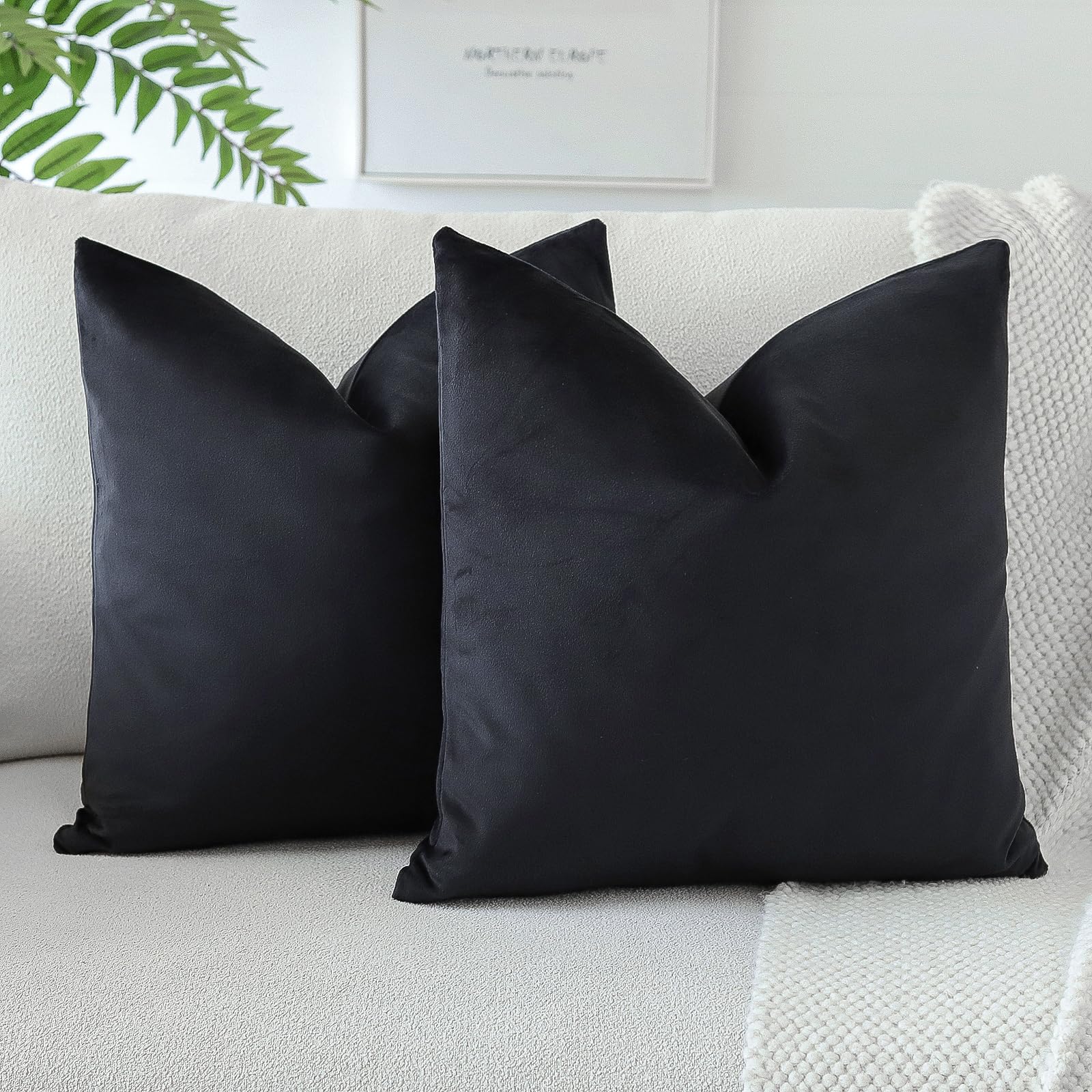 Housses de coussin en velours de qualité supérieure OTOSTAR 50x50 cm noir