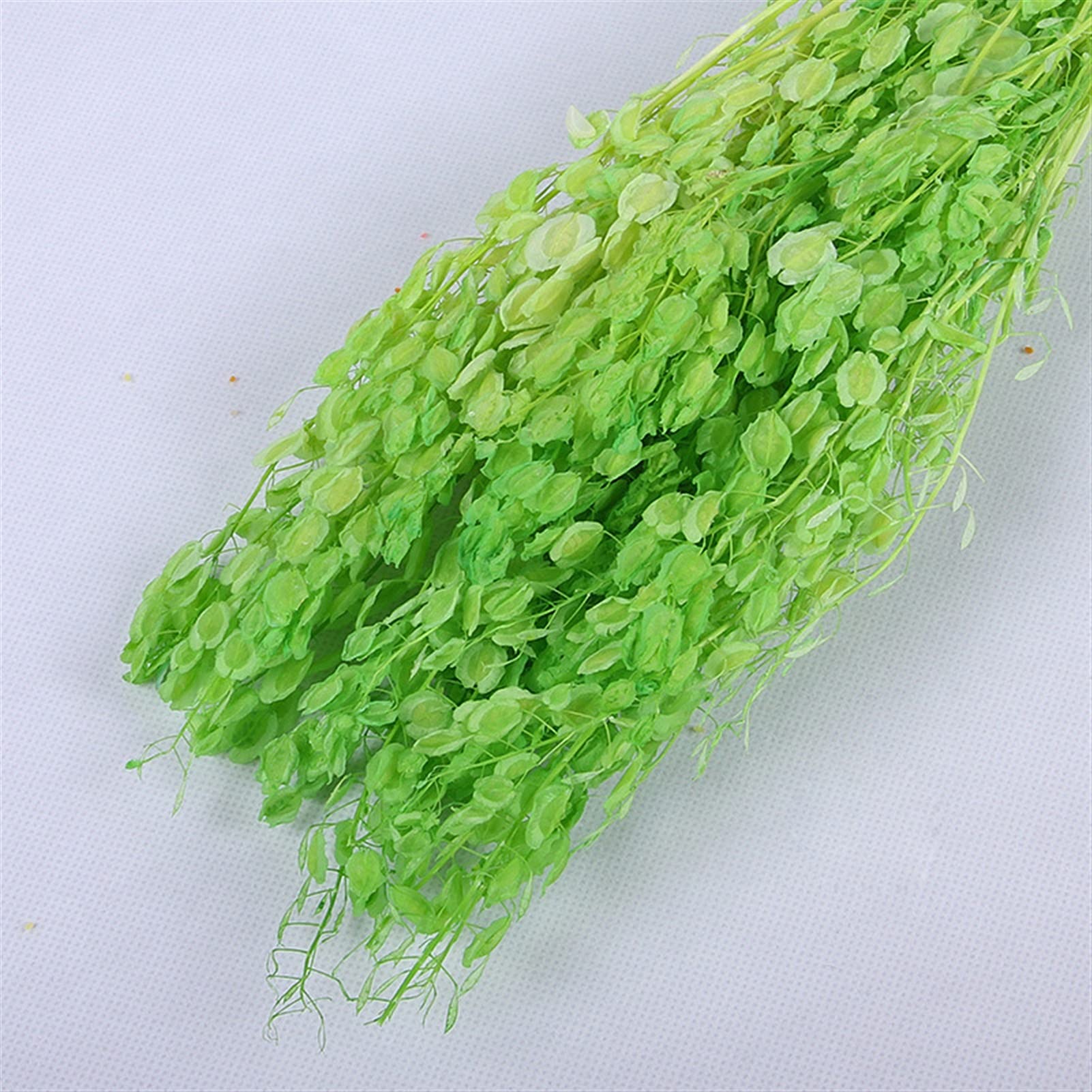 Fleurs séchées naturelles 60-80g, bouquet de fleurs de ventilateur vert séché naturel, plante réelle éternelle arrange fleurs sèches pour la décoration de la table de mariage Décoration de fête de mar