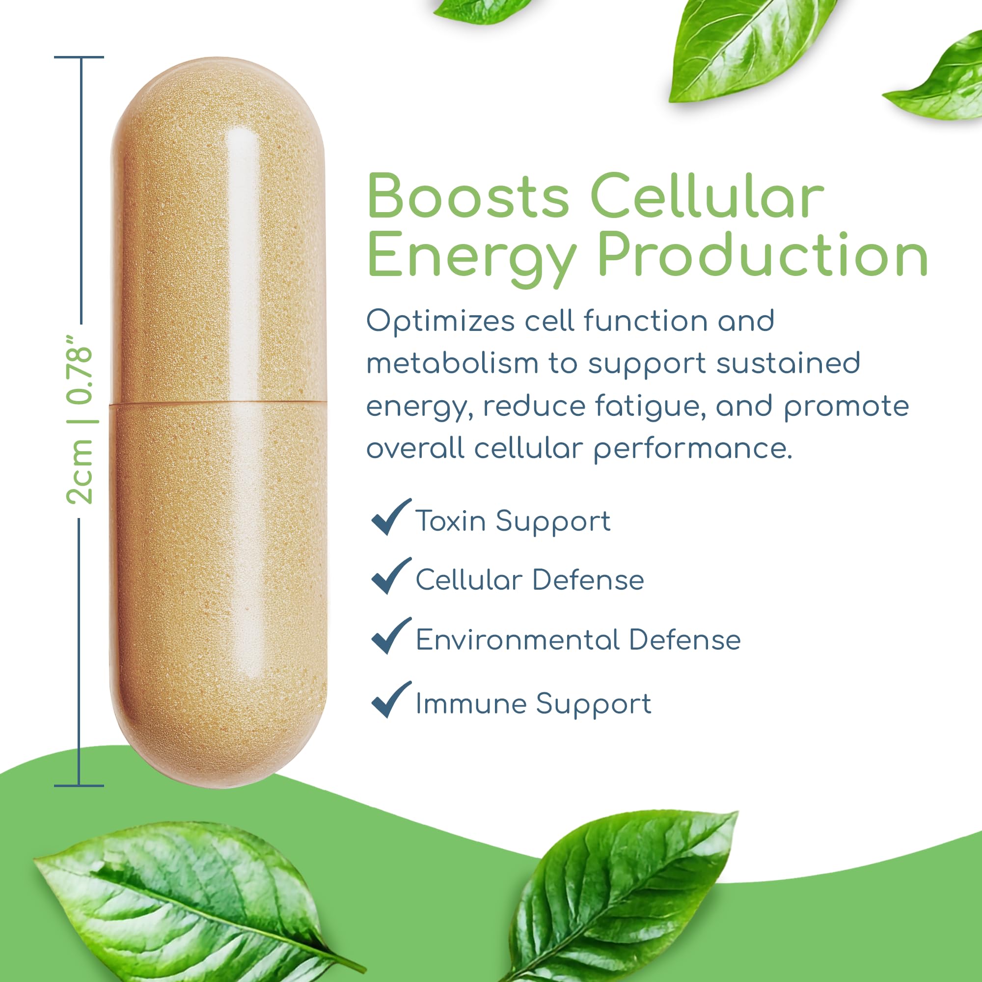 Cell Nutrients, Methylated Multivitamin & Multimineral — Amazon image 4