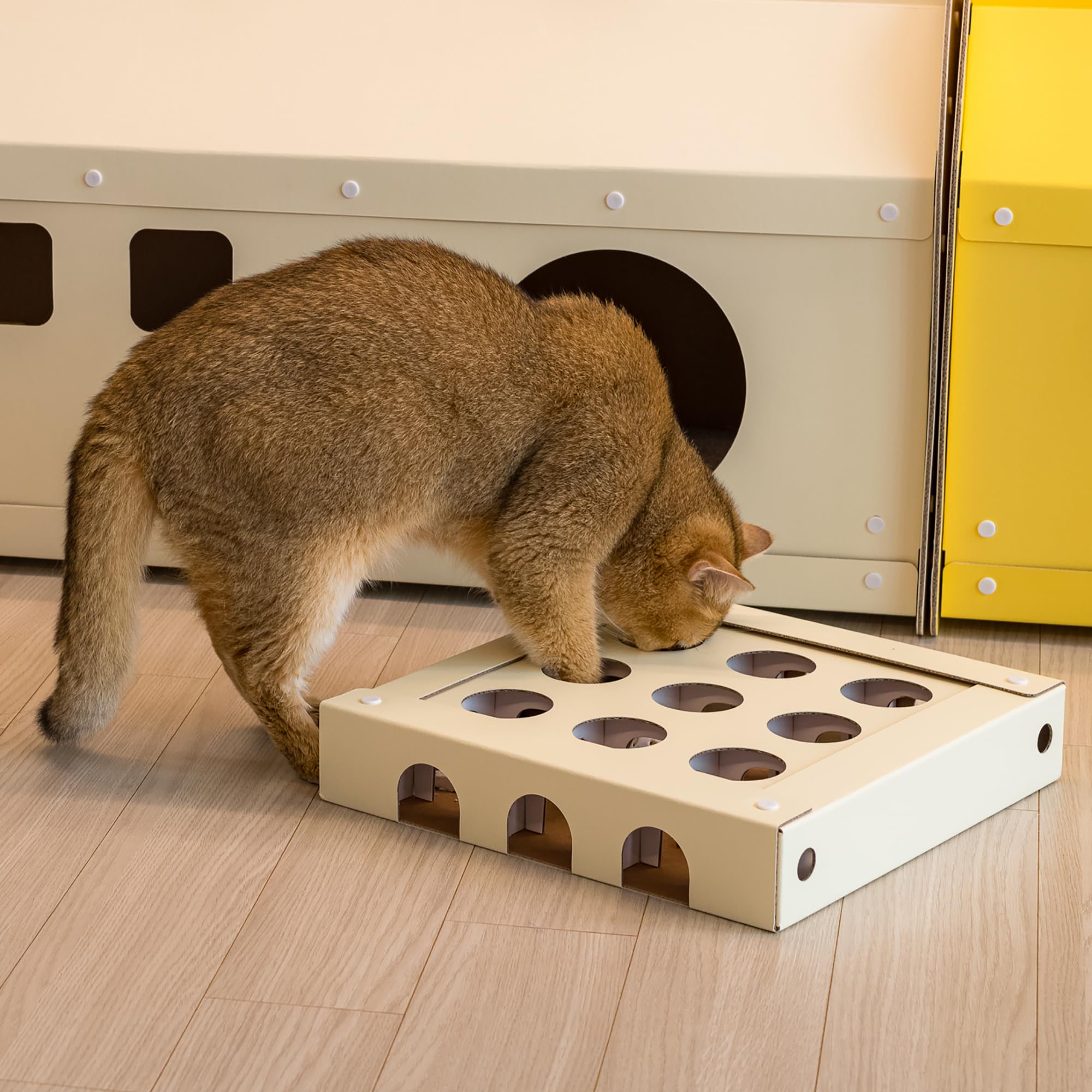 Amazon.co.jp: 【zdc】フィーディングパズル 猫用玩具 一体型 高密度 