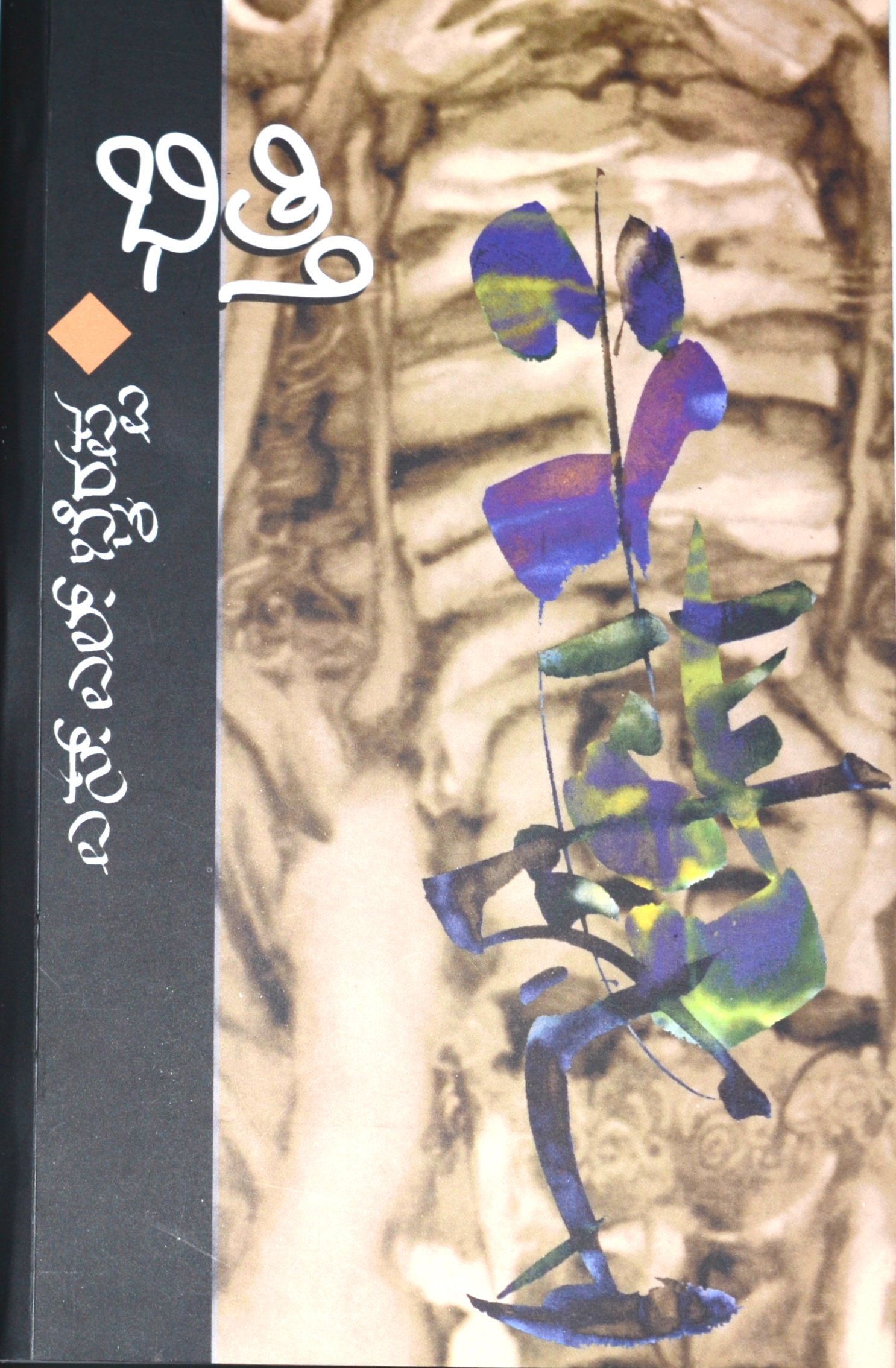 Bhitti by S L Bhyrappa Paperback