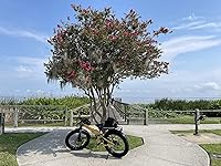 Review Image by ERock