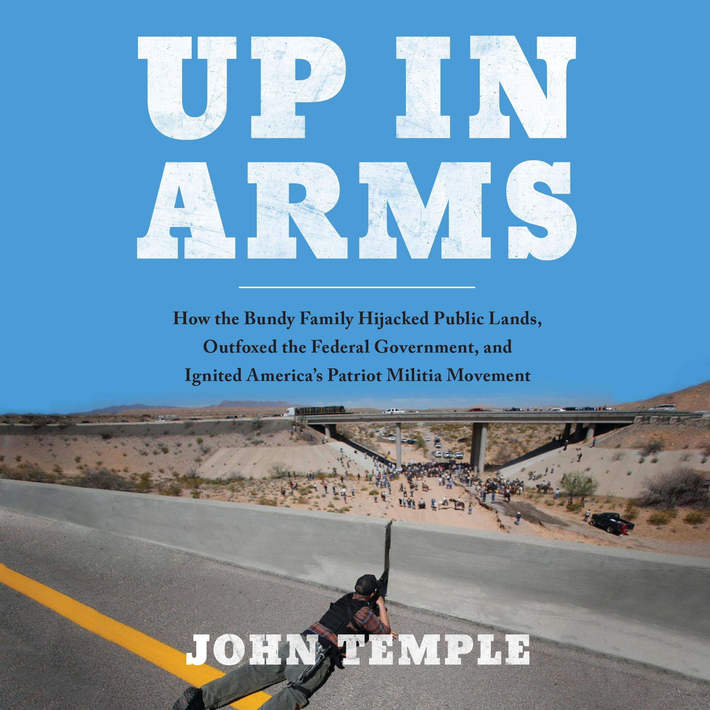 Cover art for Up in Arms