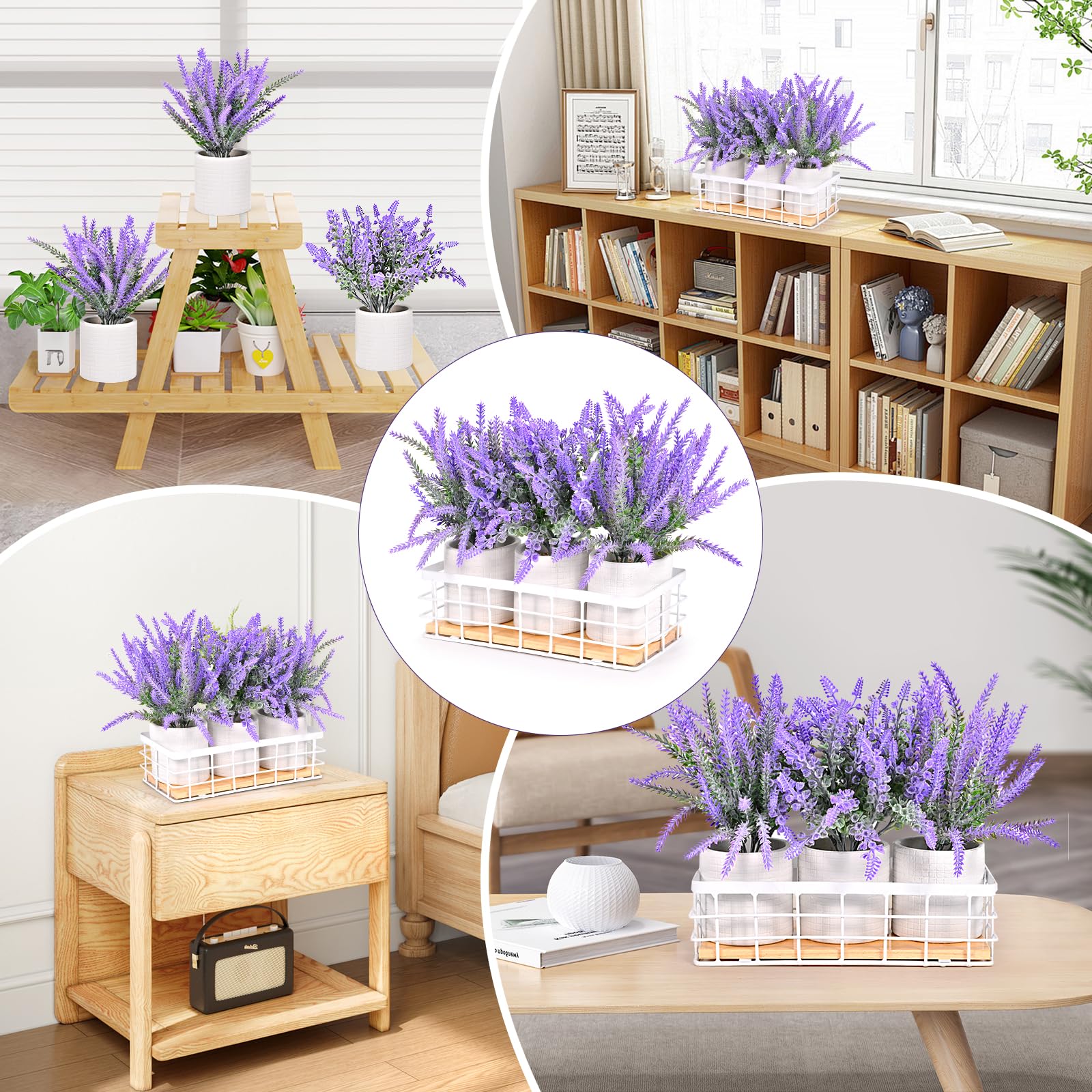 Amazon.com: Yahallow Small Fake Plants, 3 Pack Mini Artificial Plants Fake Lavender  Plant in Pot, Artificial Lavender Decor Plant Indoor for Home Bedroom  Living Room Decoration, Purple : Home & Kitchen