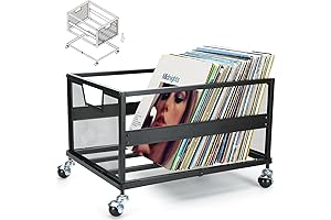 Metal LP Storage Cabinet