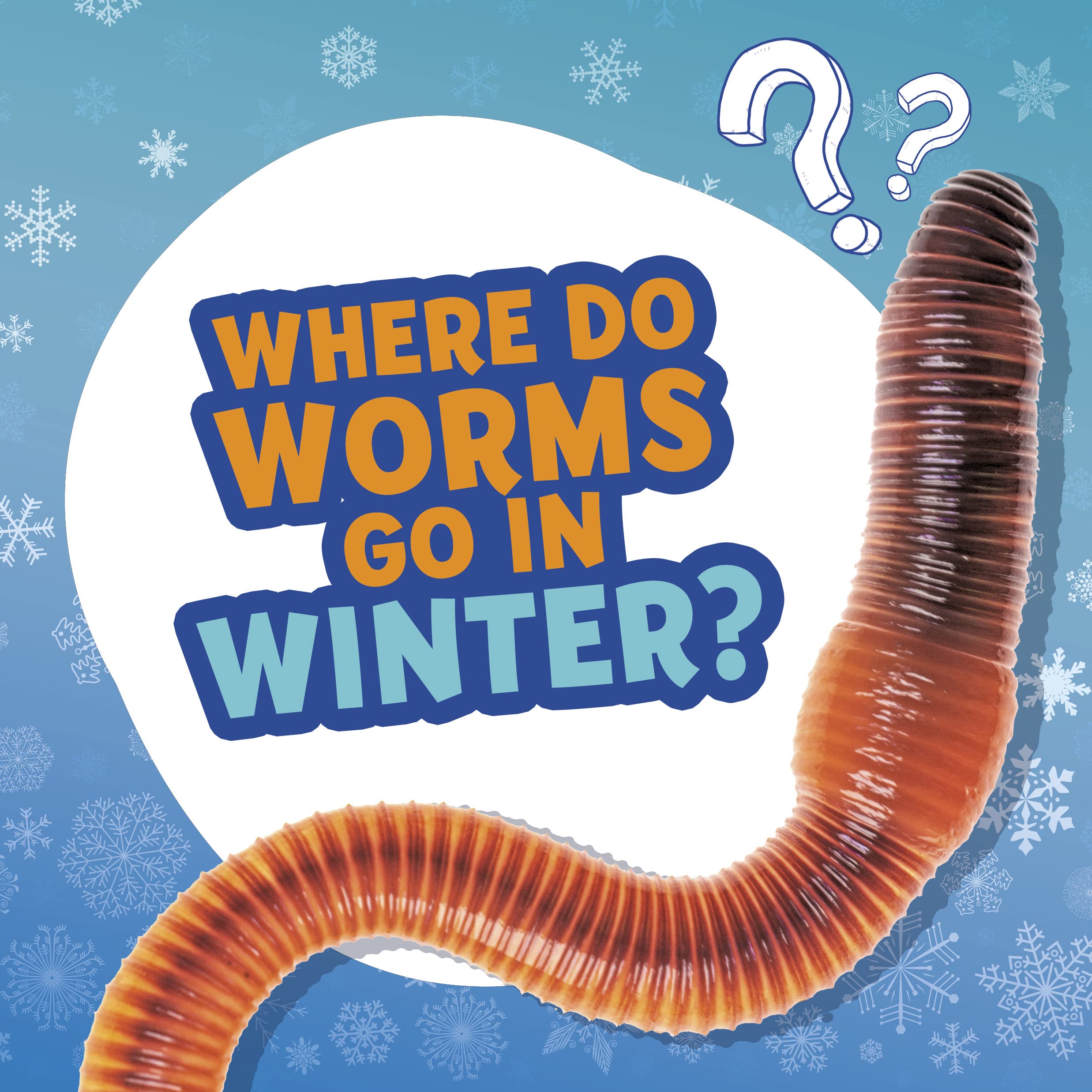 Where Do Worms Go in Winter? (Amazing Animal Q&As)