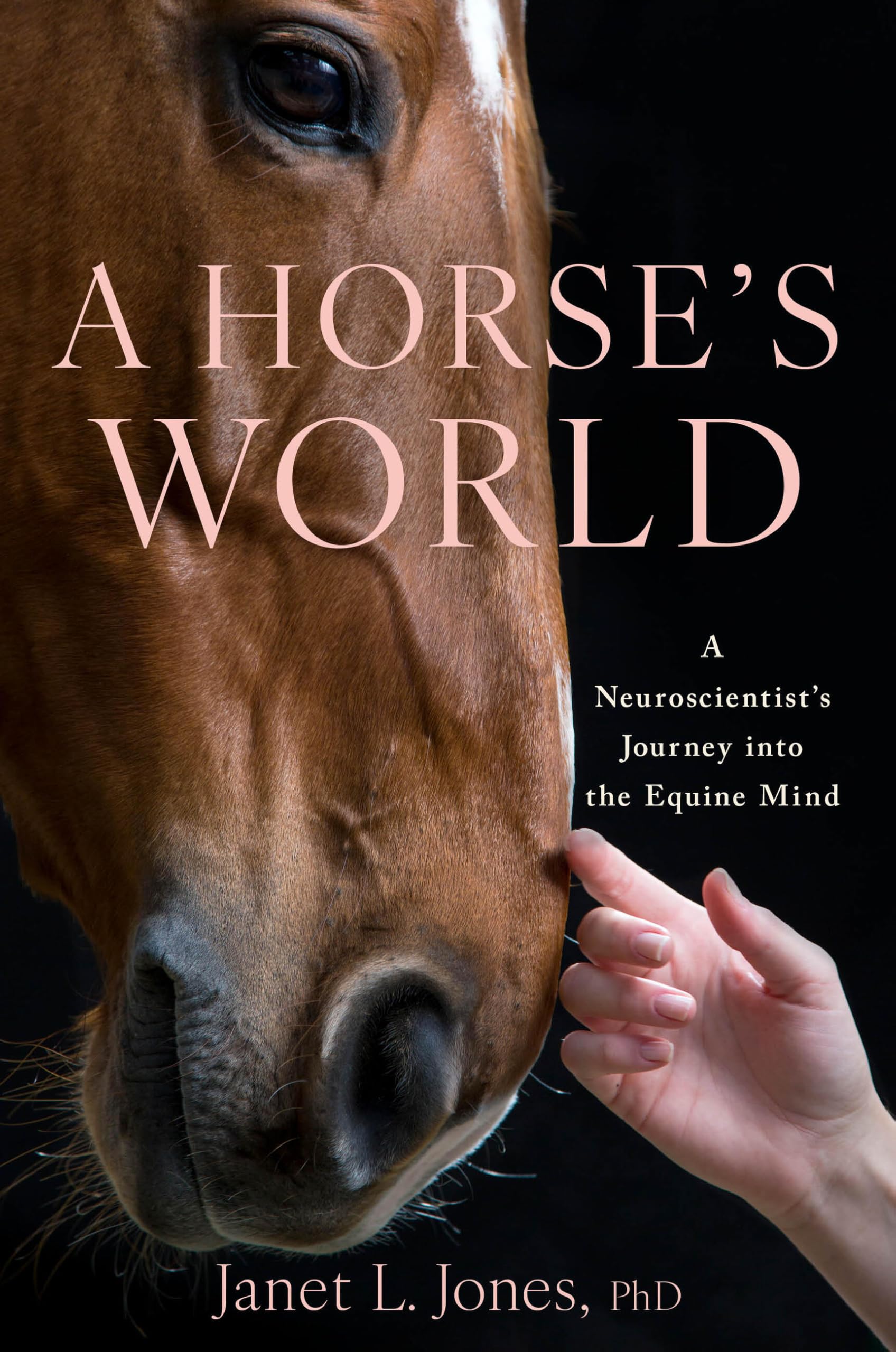 A Horse's World: A Neuroscientist's Journey into the Equine Mind