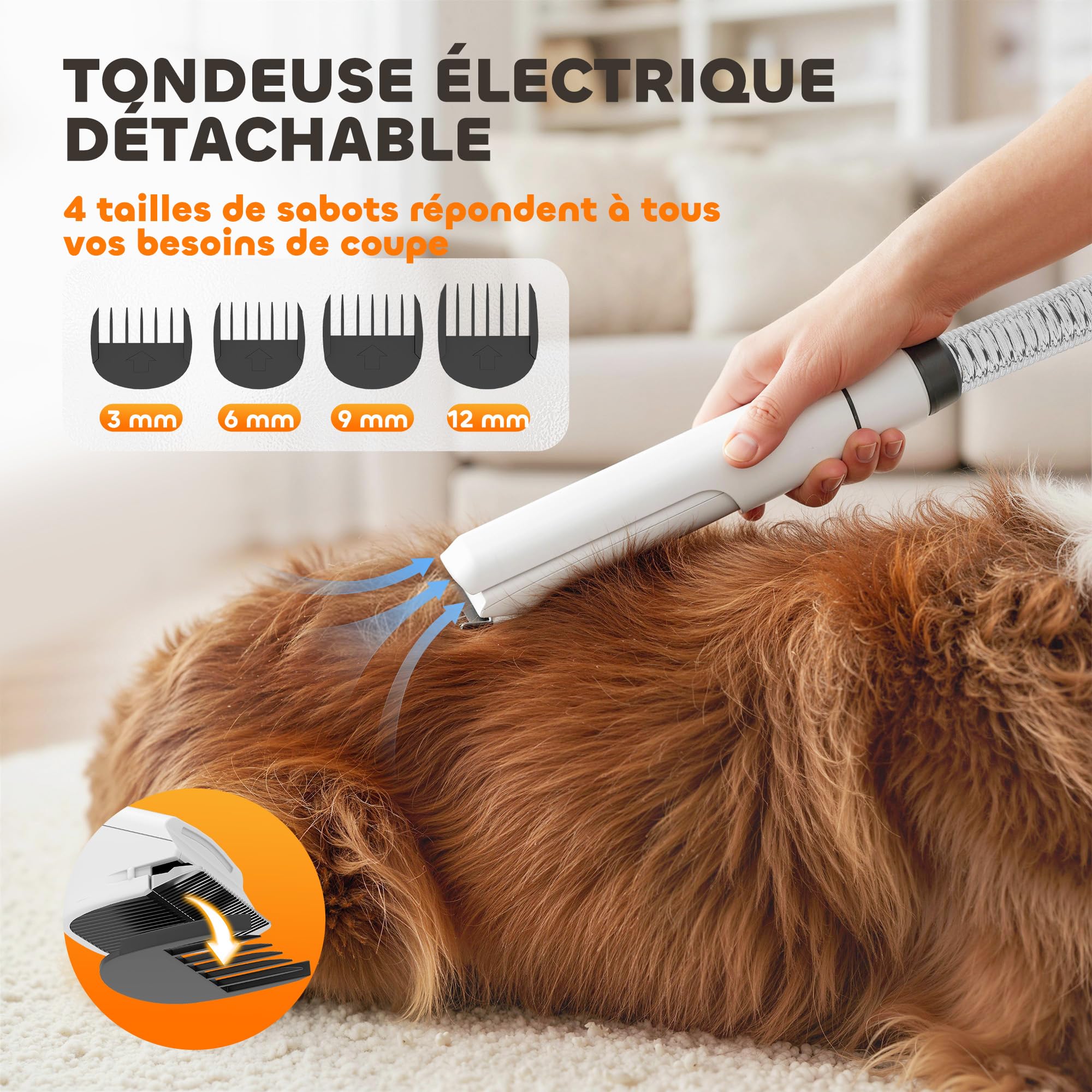 PawHut Aspirateur Poil de Chien et Séchoir 5-en-1, Kit Toilettage Chien Professionnel 12kPa - Tondeuse Chien Silencieuse 50dB avec Température Réglable et Réservoir 1,8L pour Animaux, Blanc