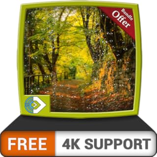terra chuvosa verde grátis HD - aprecie a bela paisagem na sua TV HDR 4K, TV 8K e dispositivos de fogo como papel de parede, decoração para as férias de Natal, tema para mediação e paz