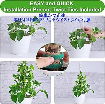 モスポール鉢5.5号3個 黒20cmモスポール水苔入り9本 半月型ポール10本 モスポール鉢5.5号3個 黒20cmモスポール水苔入り9本 半月型