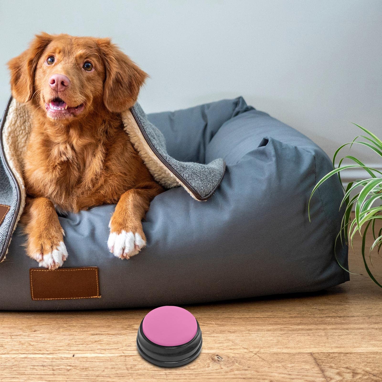 Recordable Sound Button Communication Interactive Toy Recorder Playback Talking Puppy Kitten Recording Voice Button for Kids Learning Pink - Image 3
