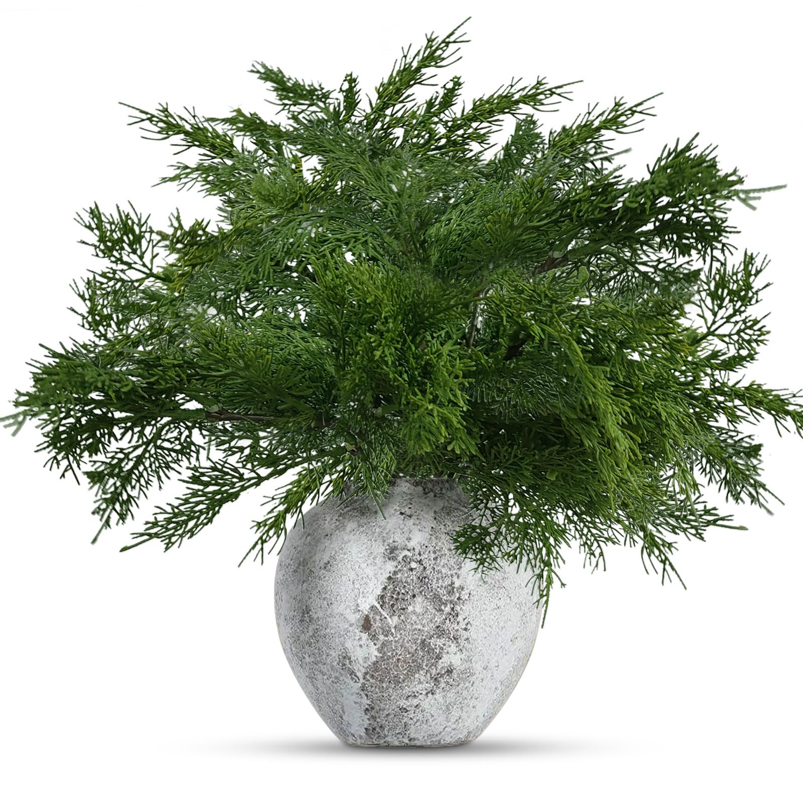 Product image 1 of 1